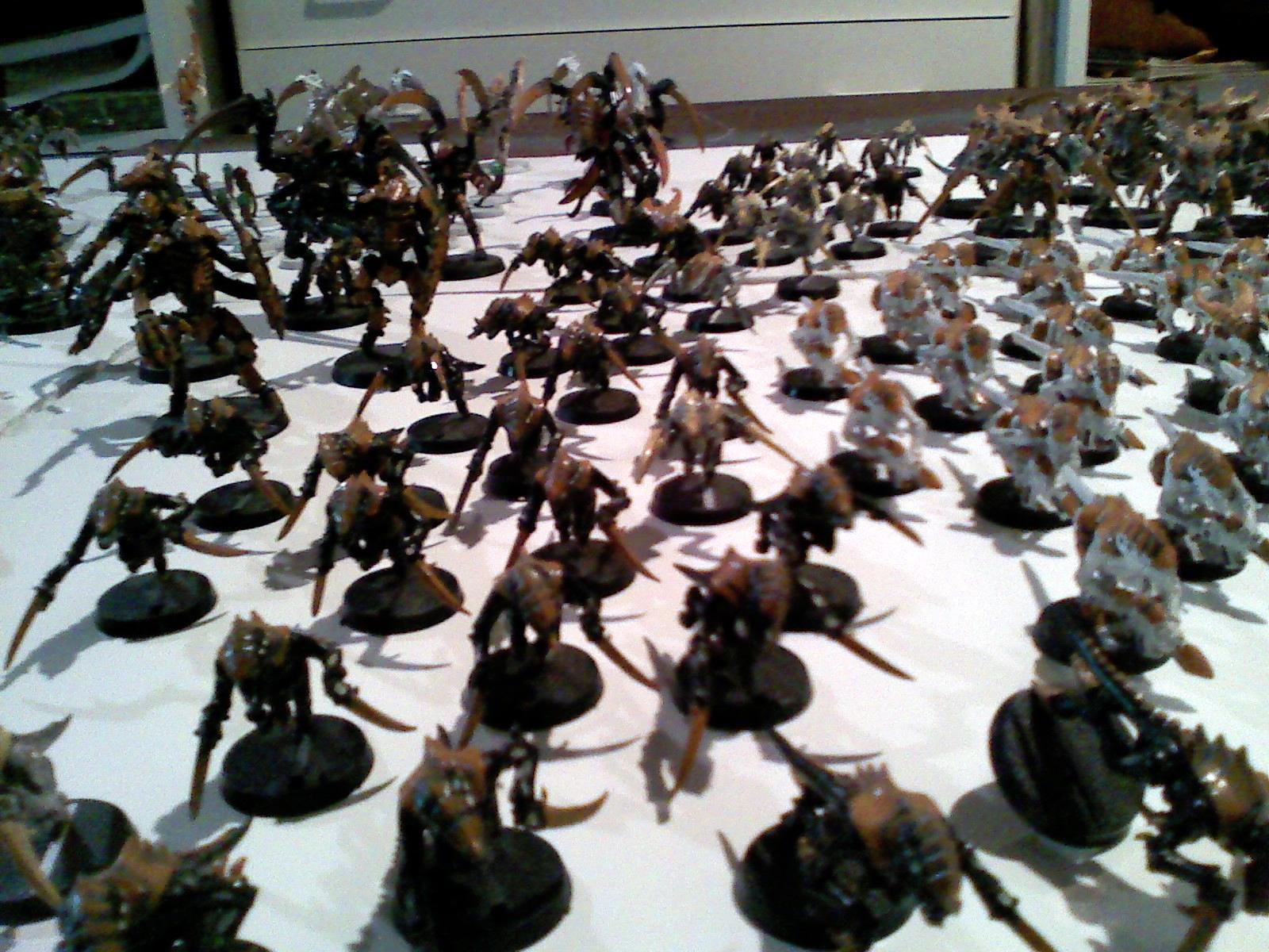 kleptic's nids . .so far