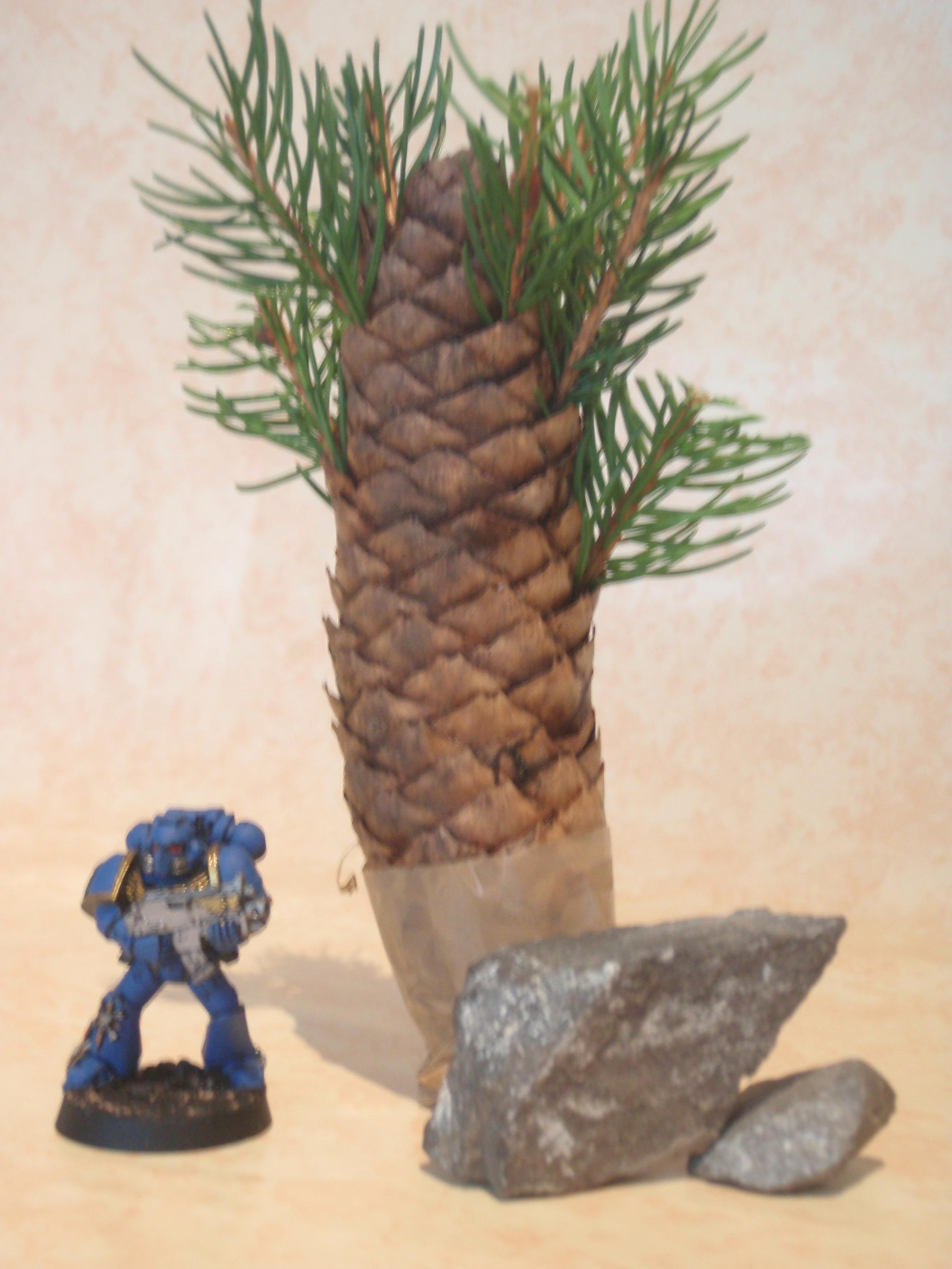 Doing It Wrong, Terrain