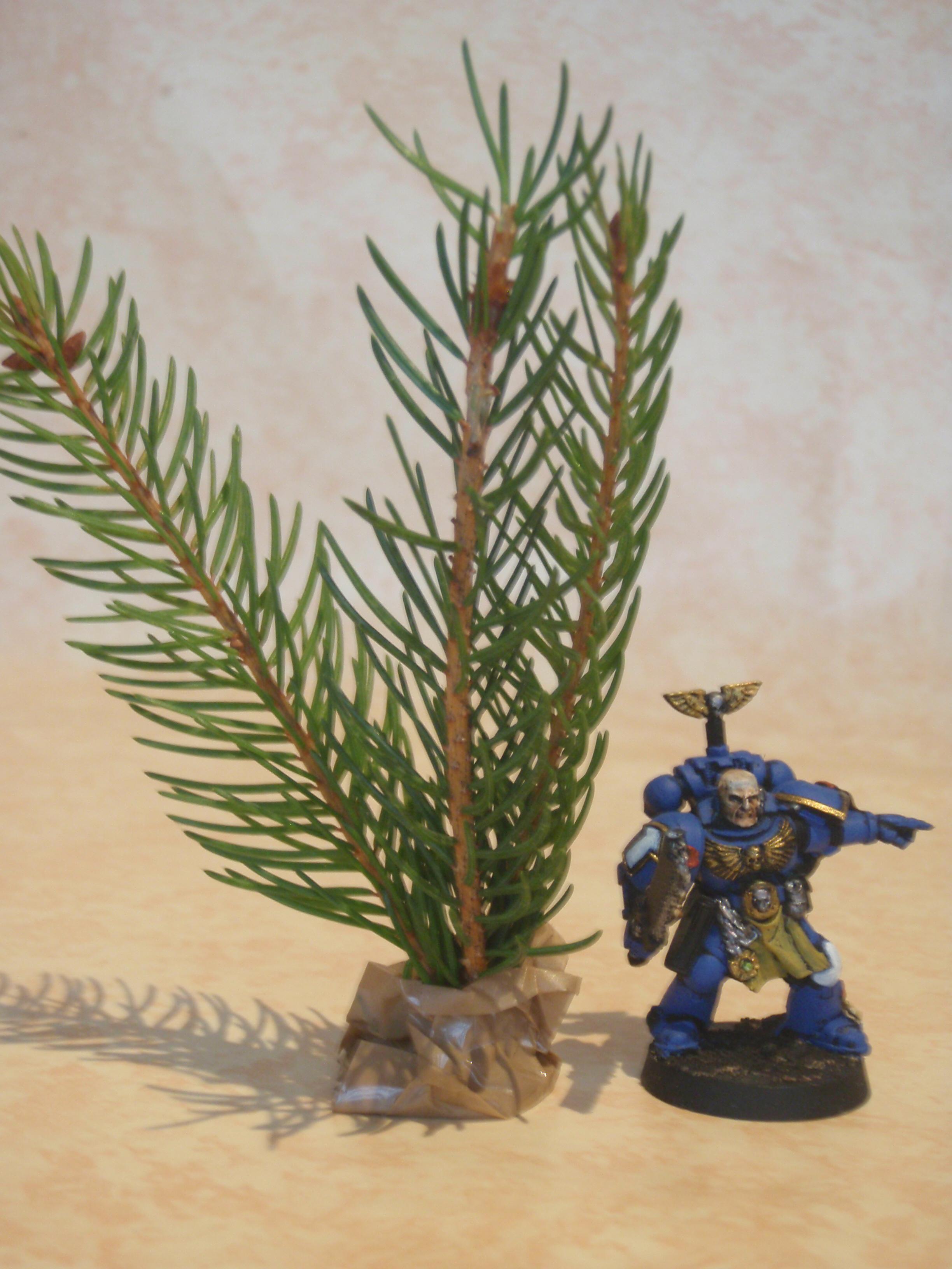 Quick tree 1