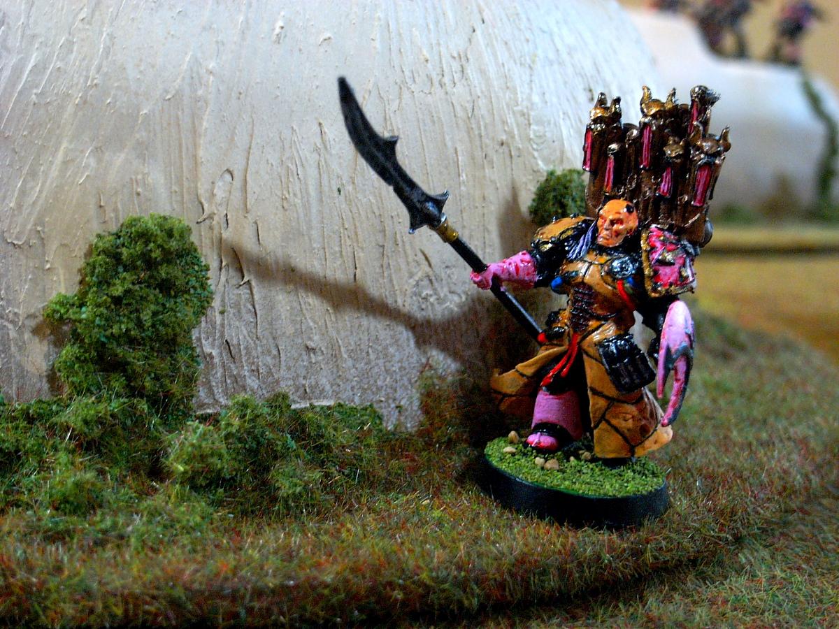Battle Report, Eldar, Slaanesh