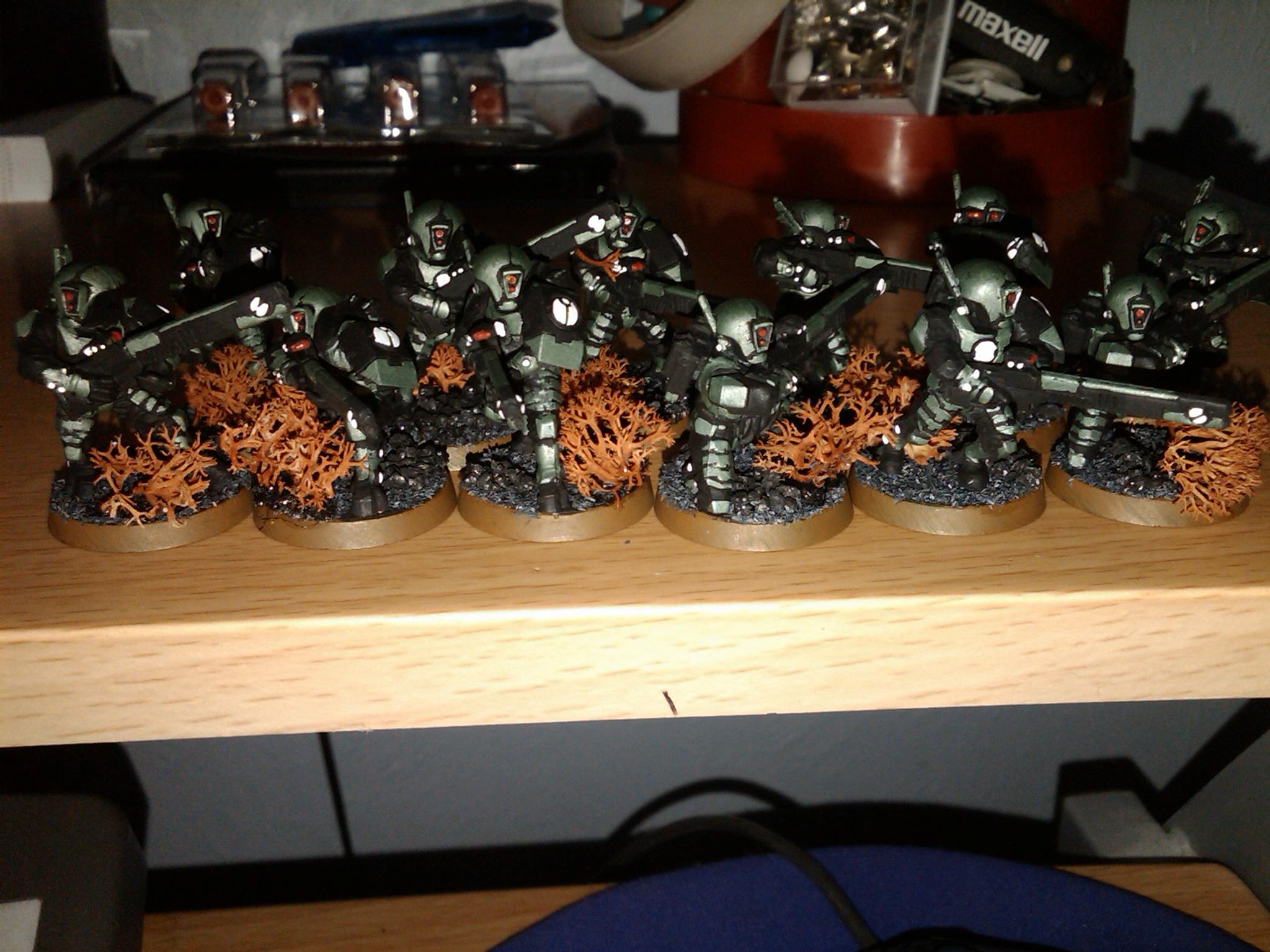 Tau, AntZ boyz