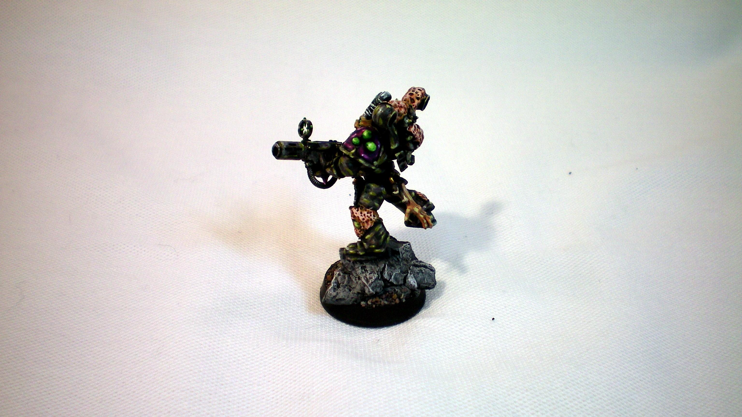 Chaos Space Marines, Nurgle