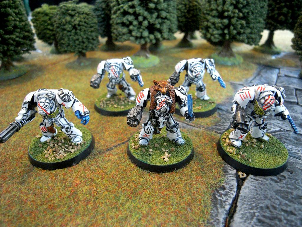 Army, Astartes, Bike, Classic, Scars, Space Marines, White