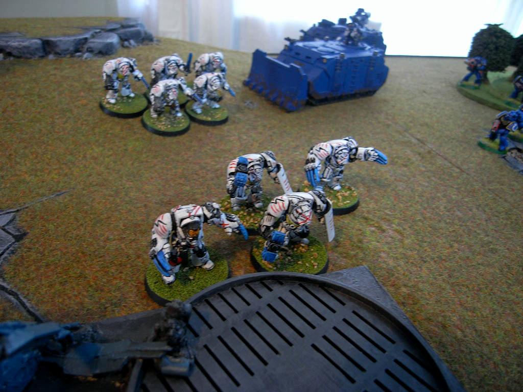 Eldar, Iyanden, Scars, Ultramarines, White