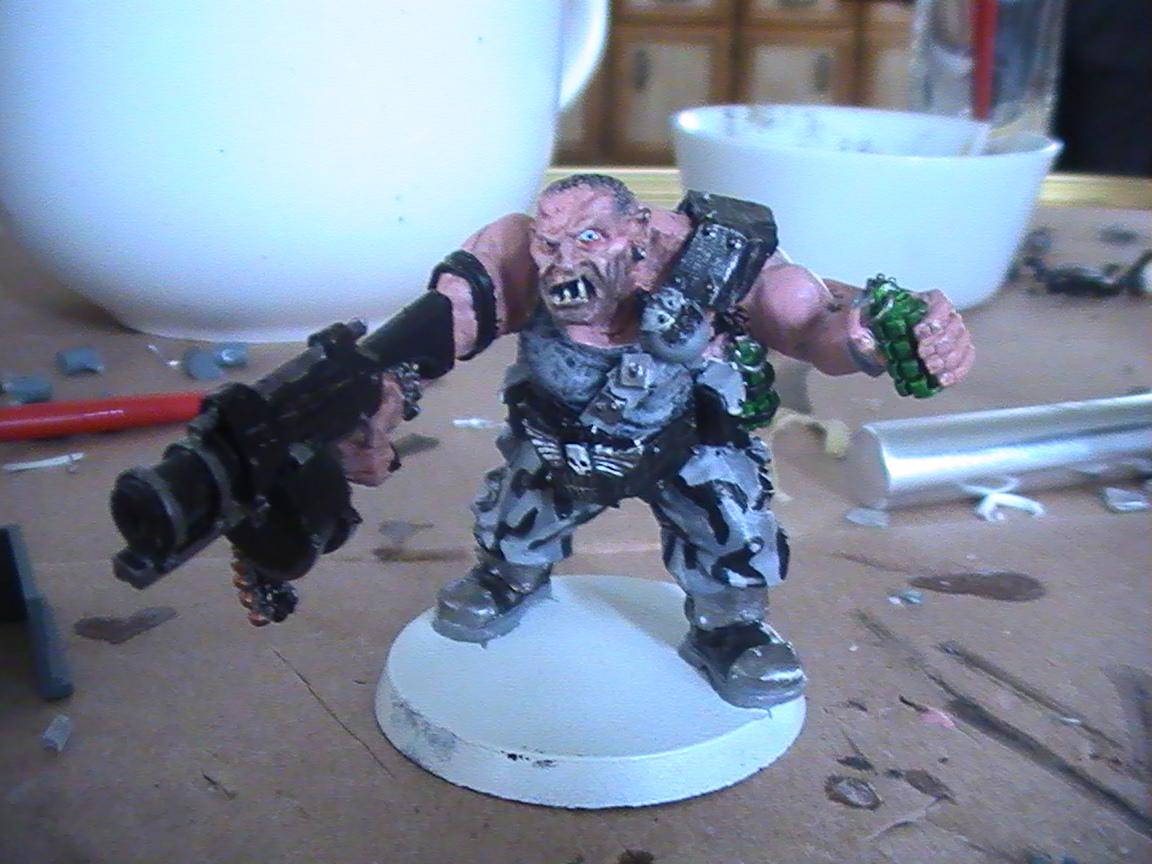 Imperial Guard, Ogryns