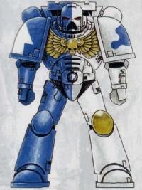 eagle warriors colour scheme