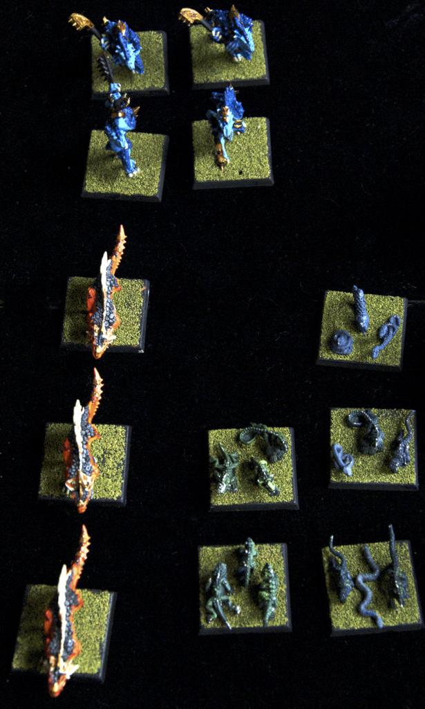Salamanders, Kroxigors, and Swarms