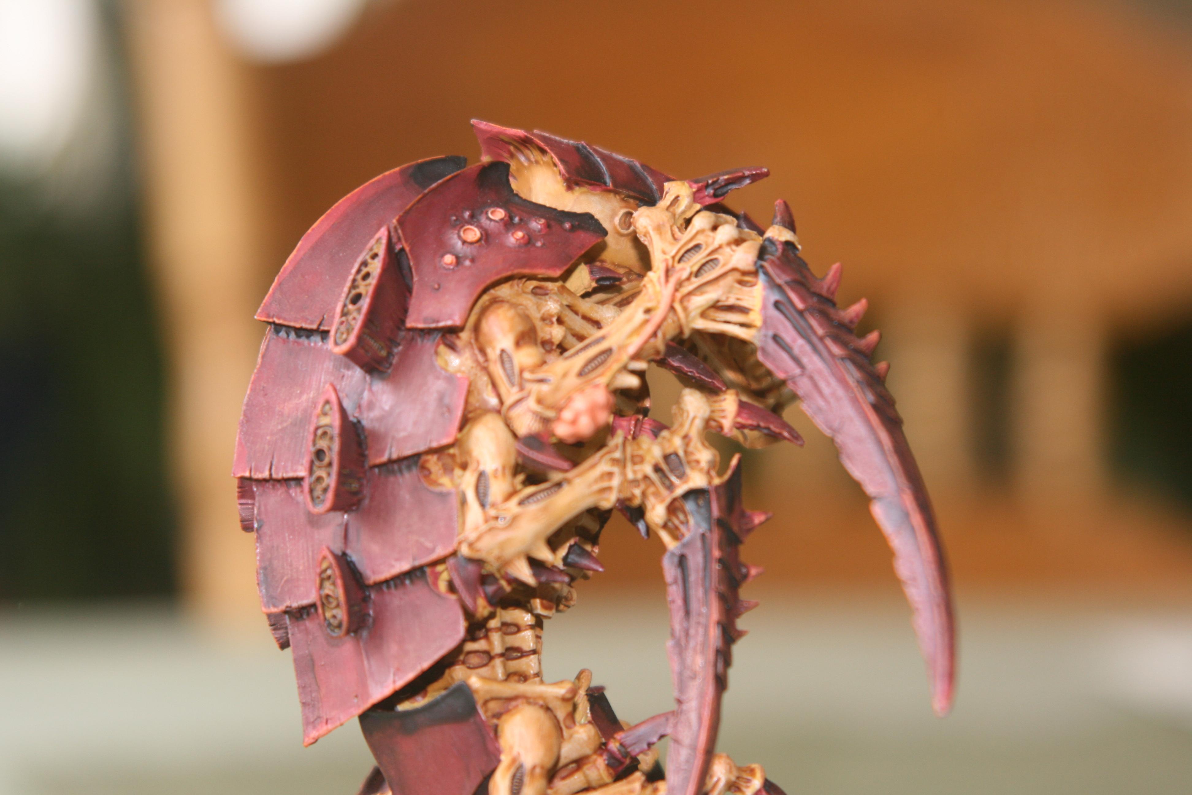 Trygon, Tyranids