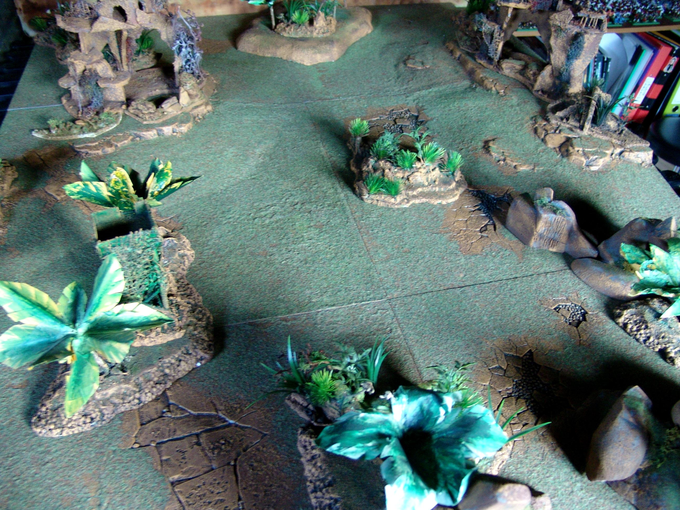Terrain