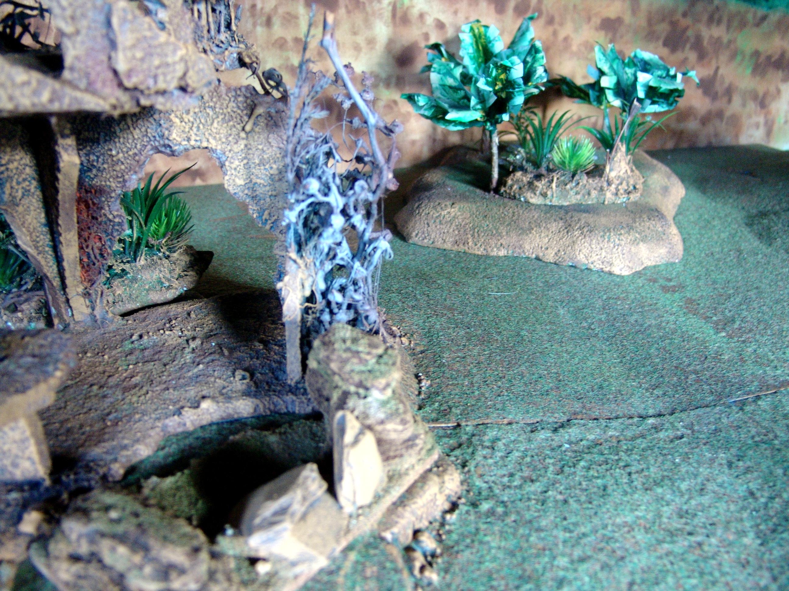 Green, Jungle, Terrain