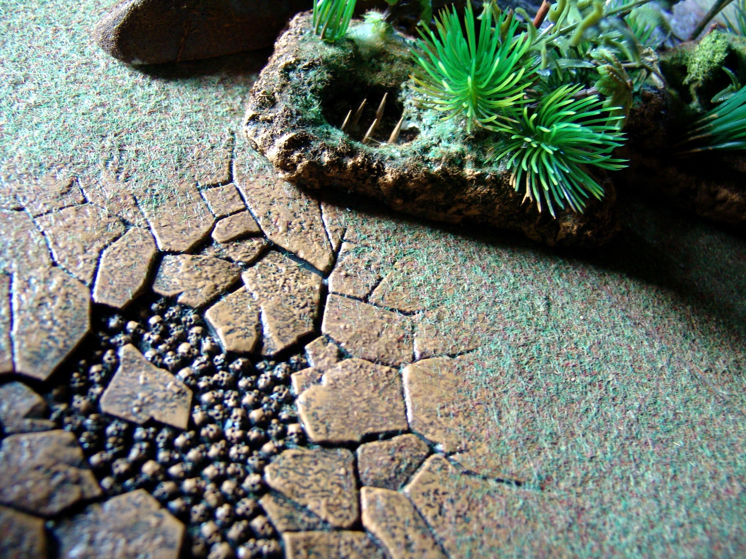 Terrain