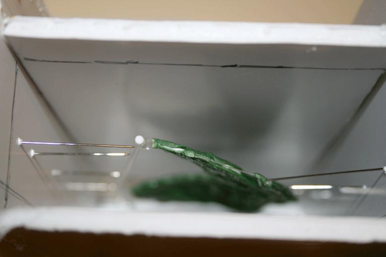 Molding, Molds, Silicon Molds, Wtf