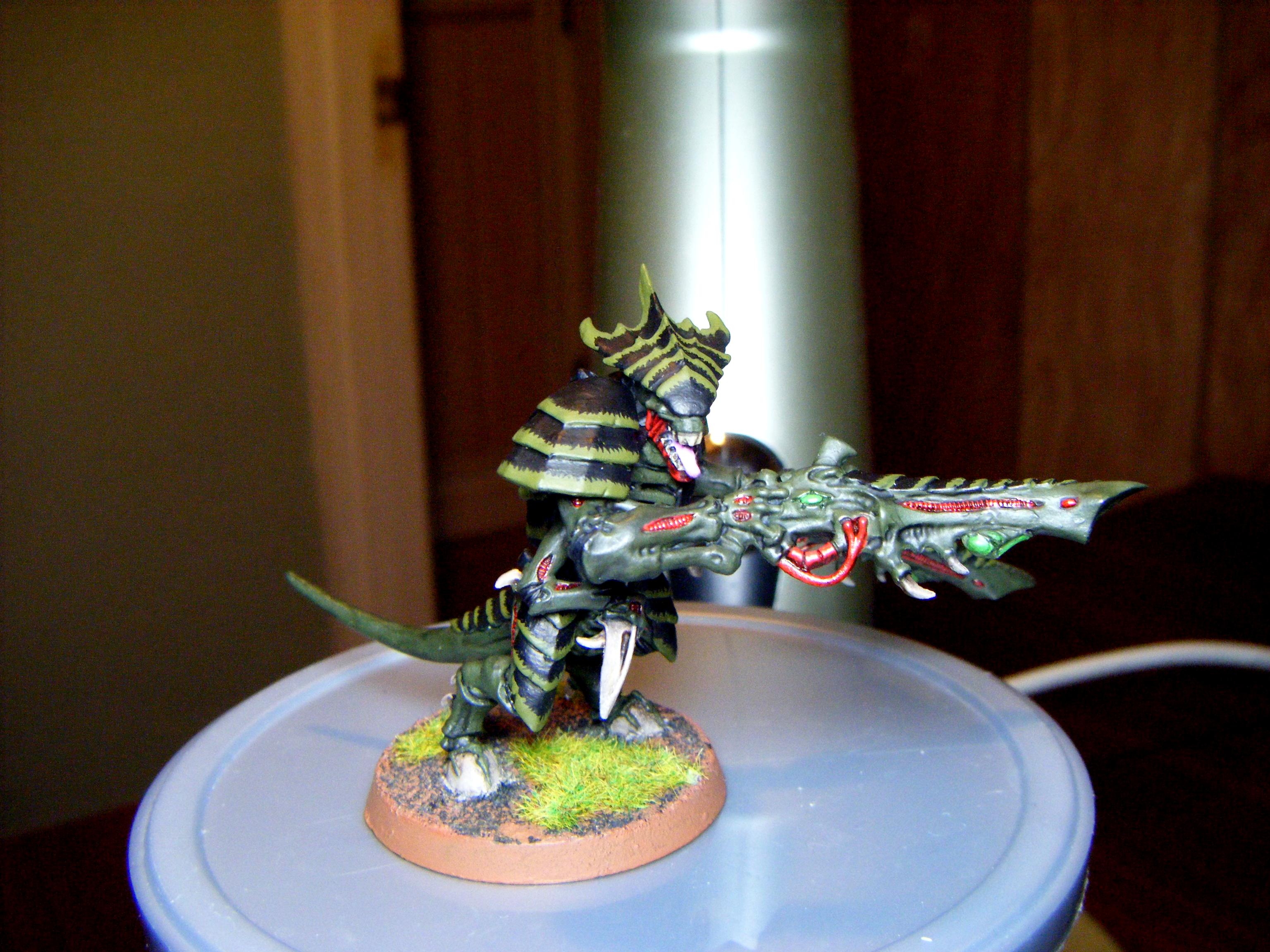 Tyranid Warriors
