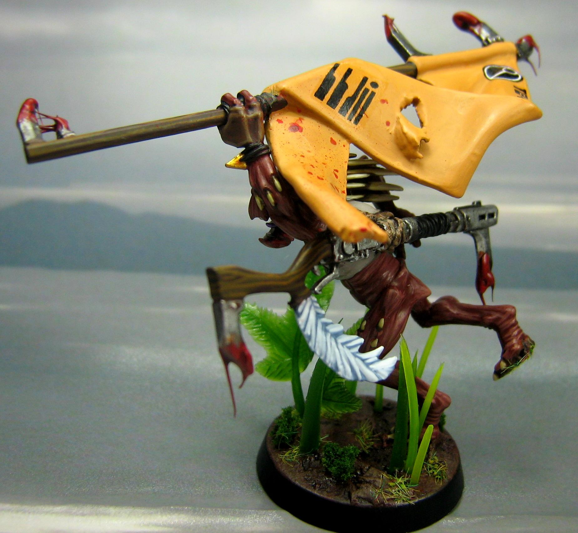 Kroot, Sirath, Standard Bearer, Tau, Third Sphere