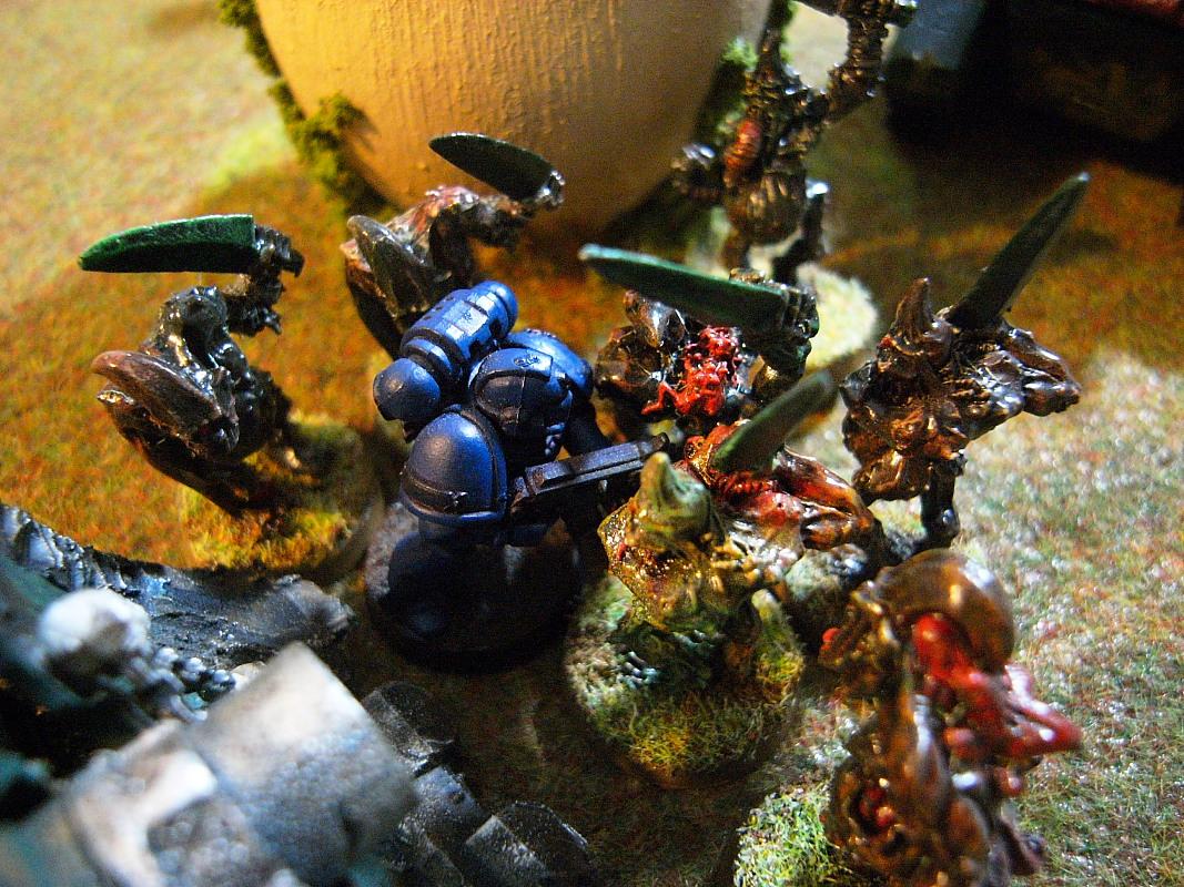 Plaguebearers, Space Marines