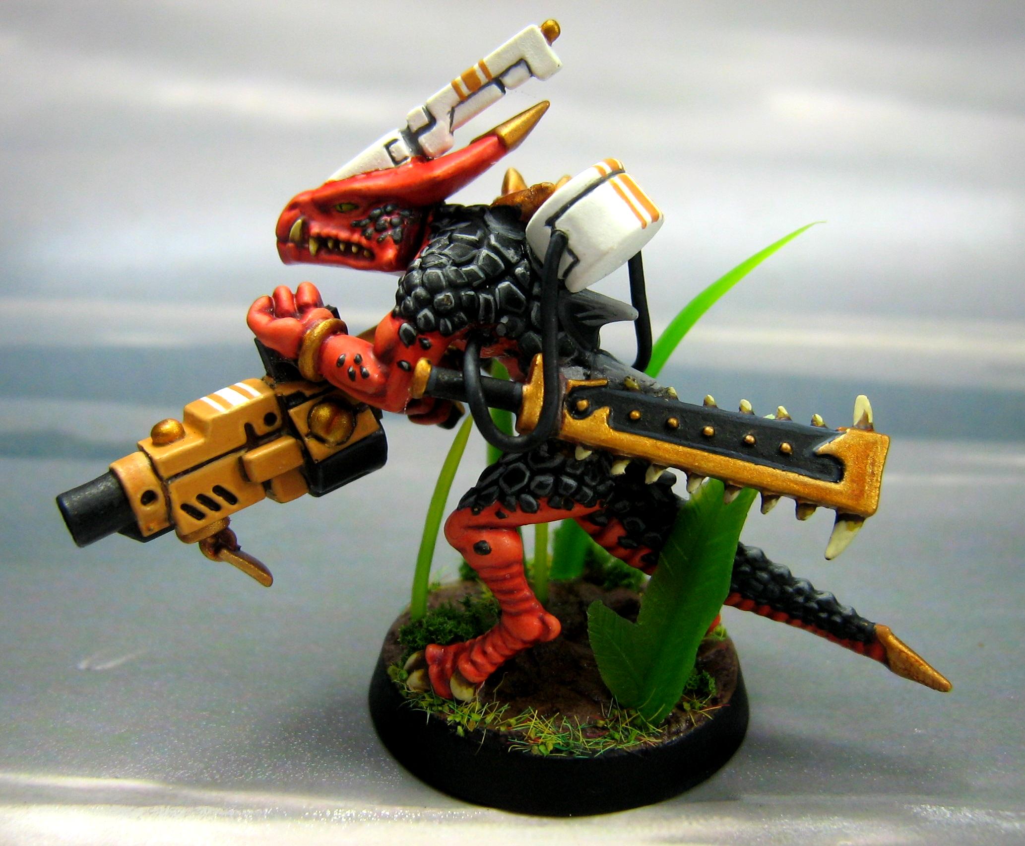 Kroot, Lizardmen, Tau