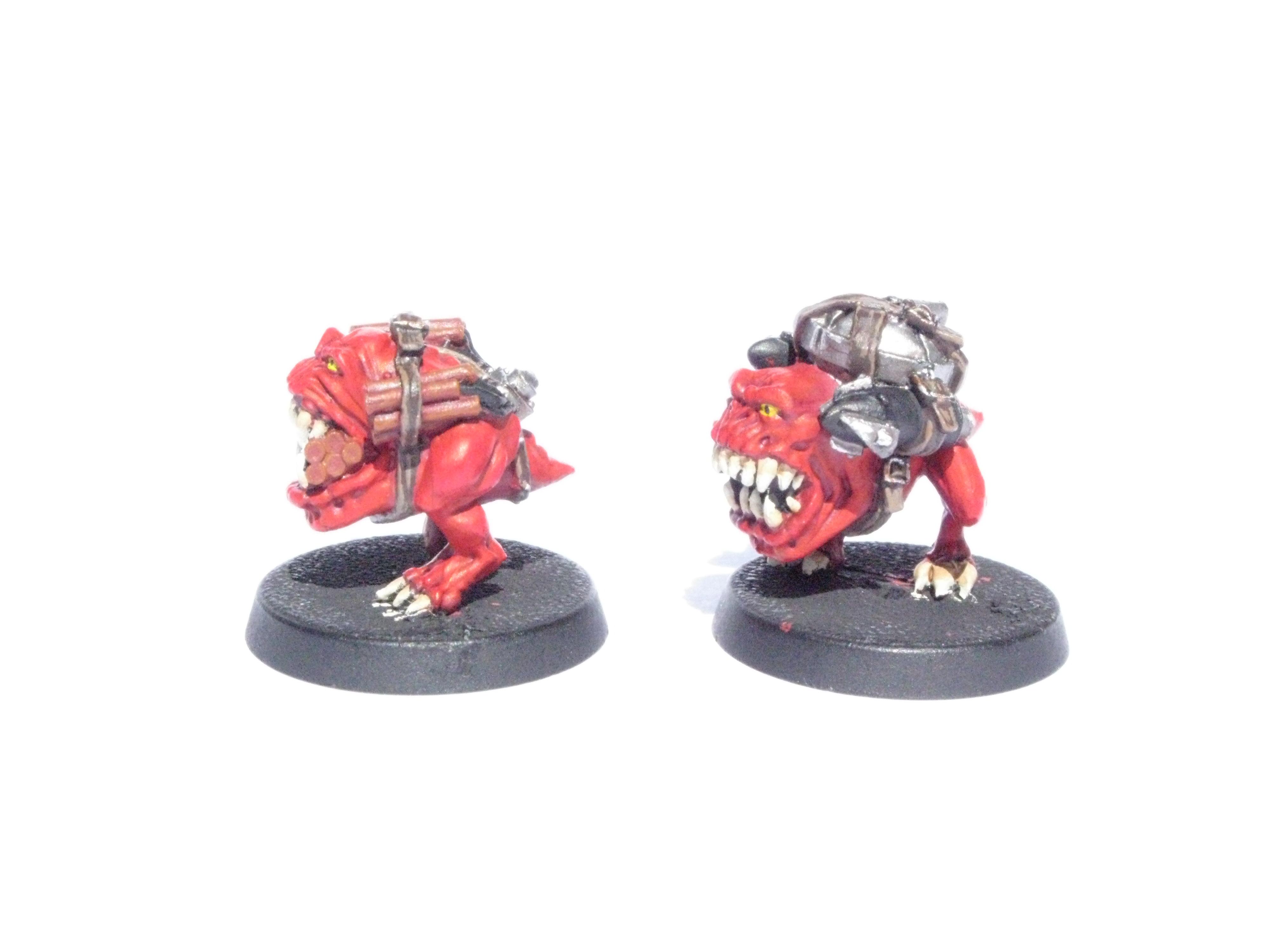 Bomb Squig, Orks, Squigs