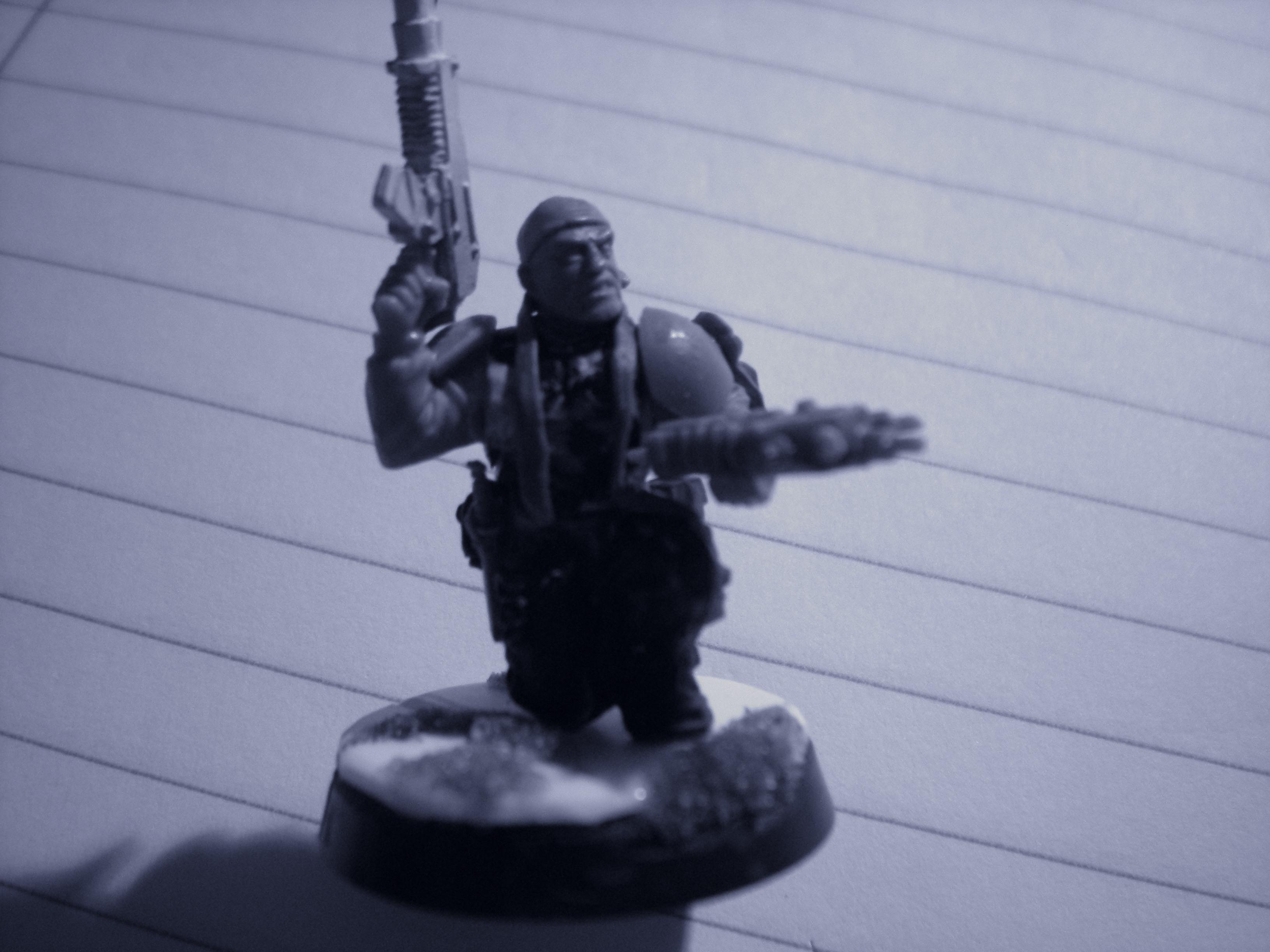 Wip2