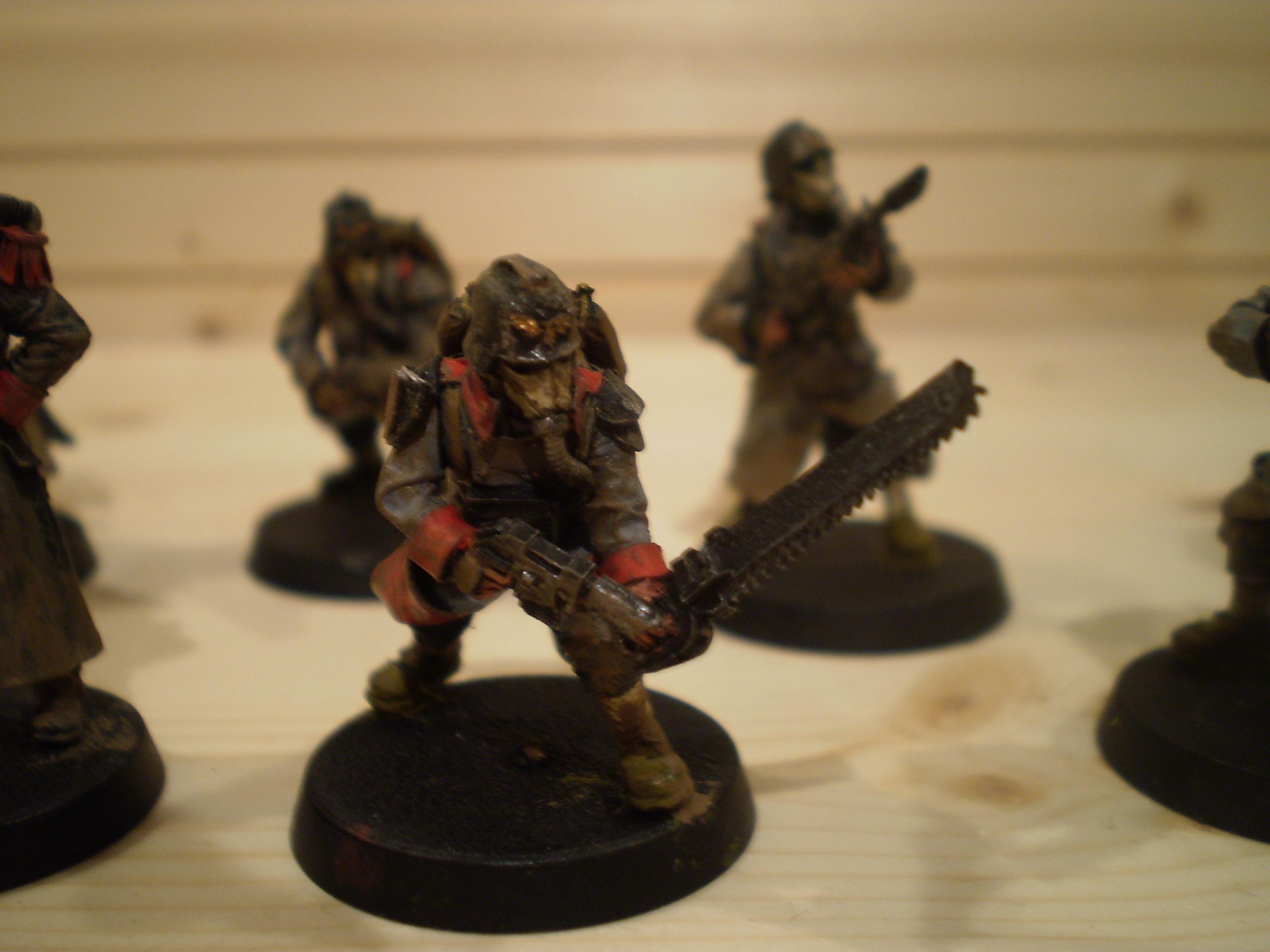 Death Korps of Krieg, Imperial Guard