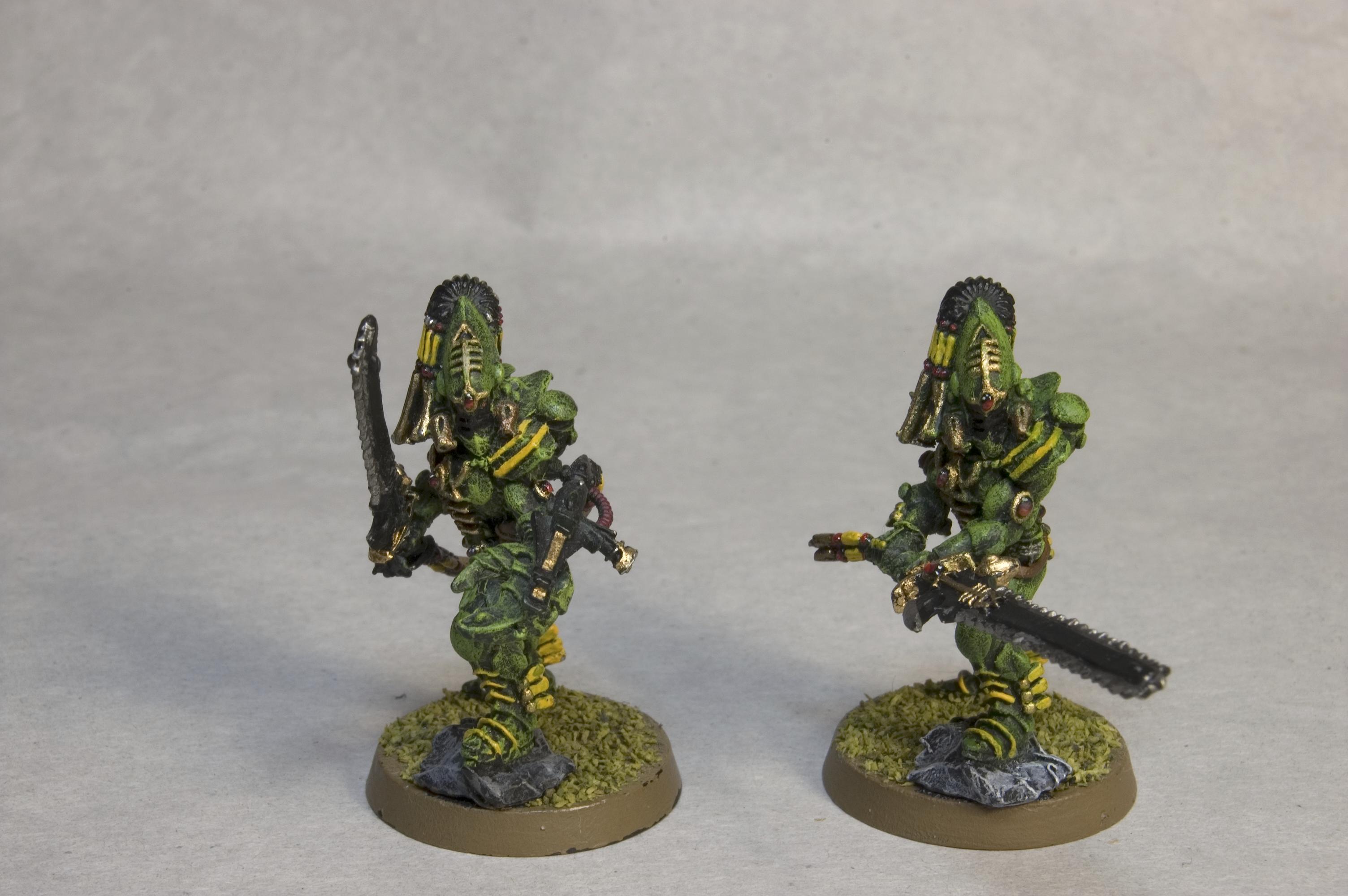 Eldar, Warhammer 40,000