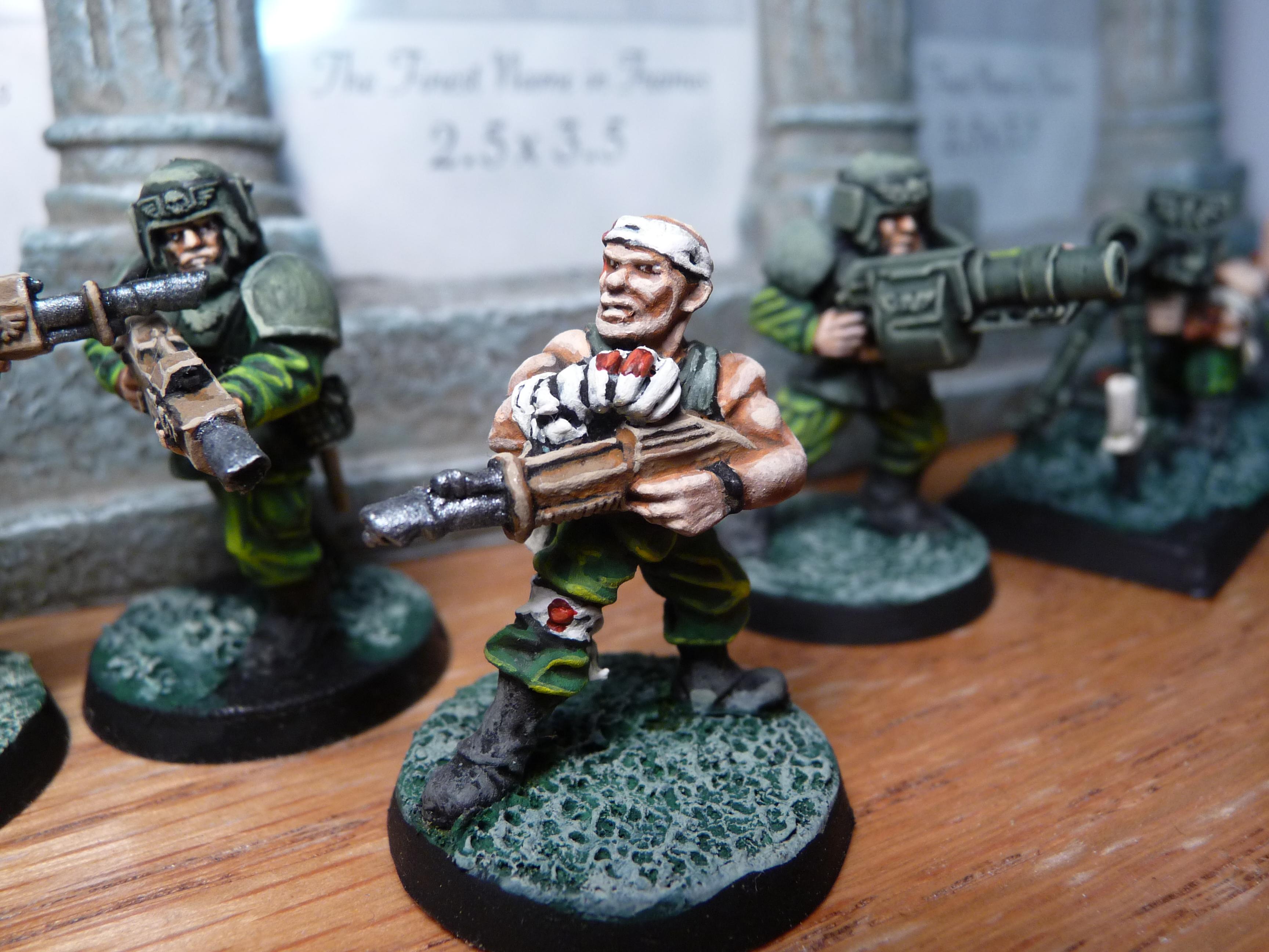 Imperial Guard, Rogue Trader IG
