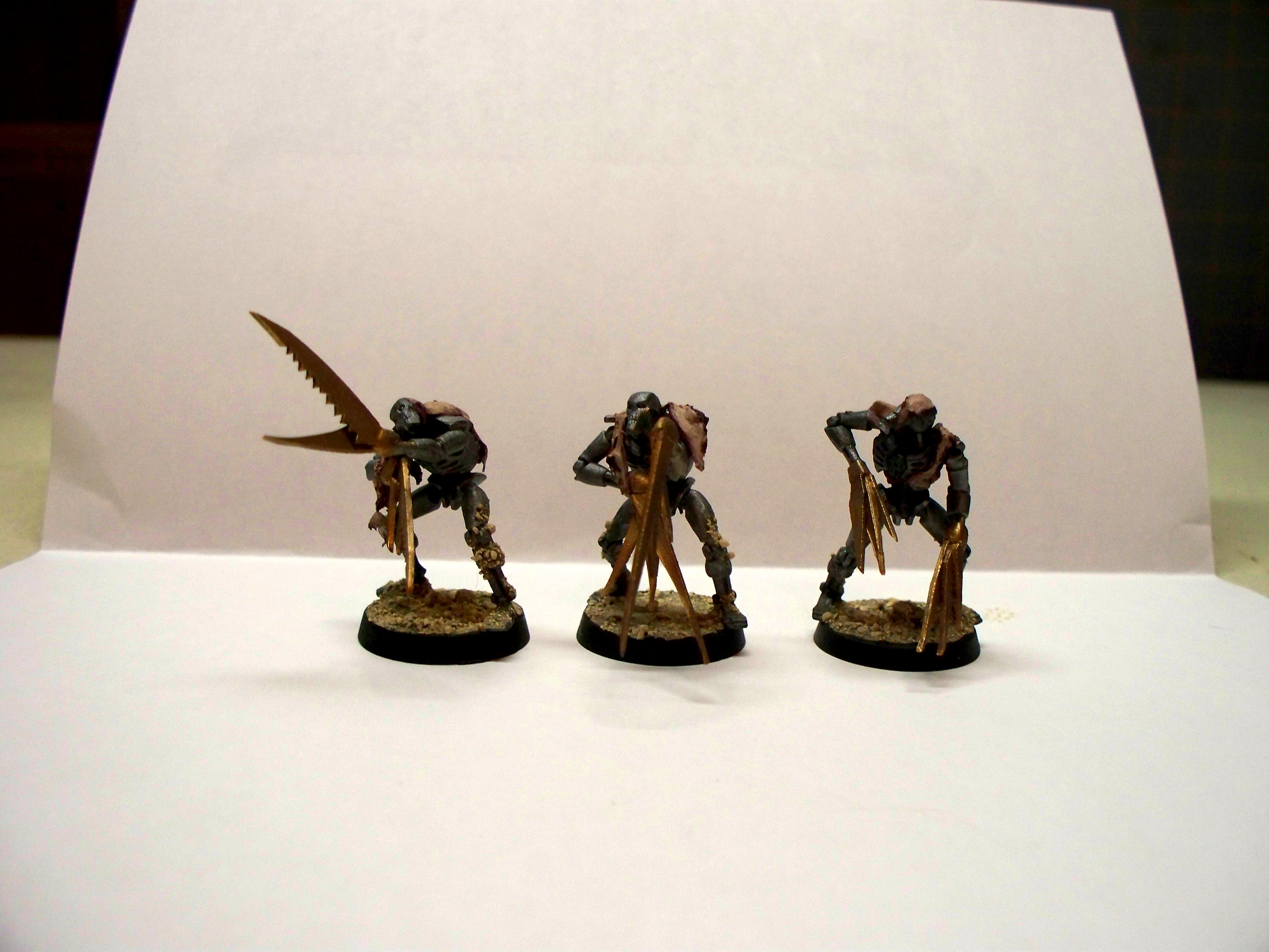 Flayed Ones