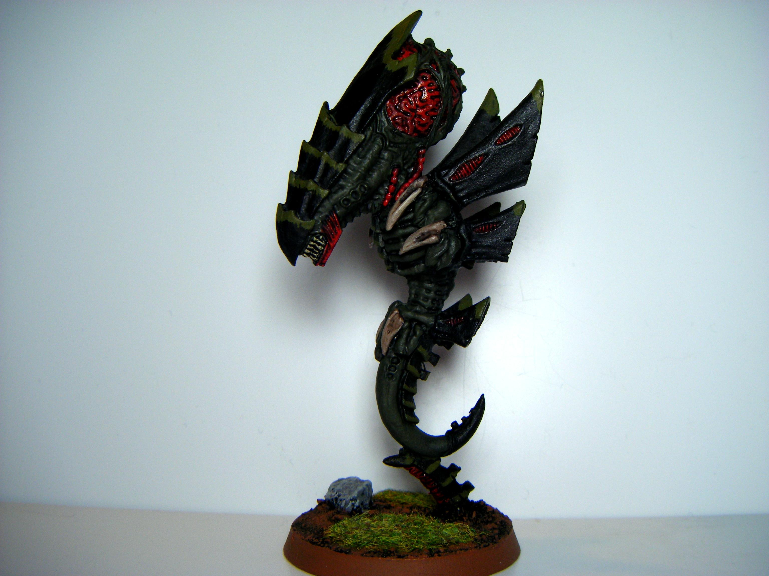 Zoanthrope