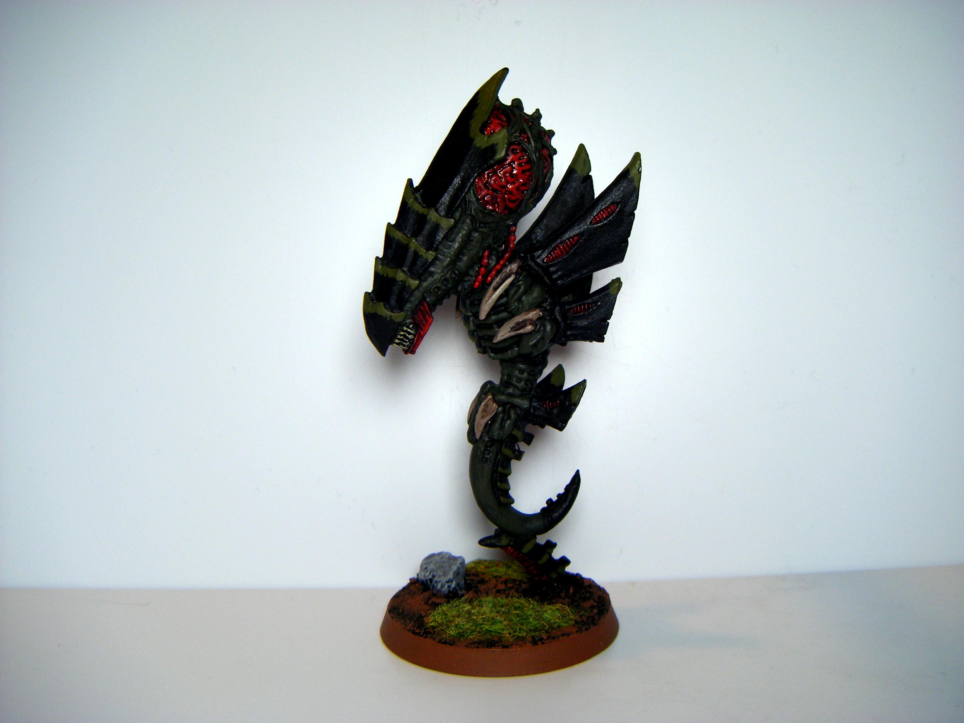 Zoanthrope