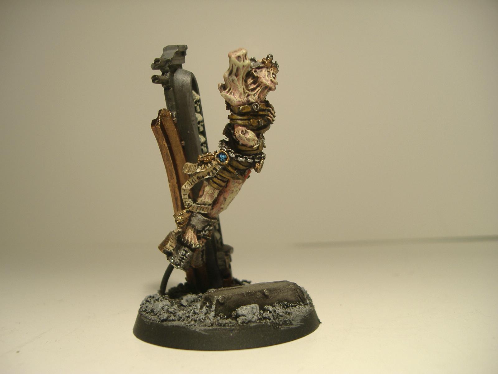 Daemonhost, Inquisition, Radical Inquisitor