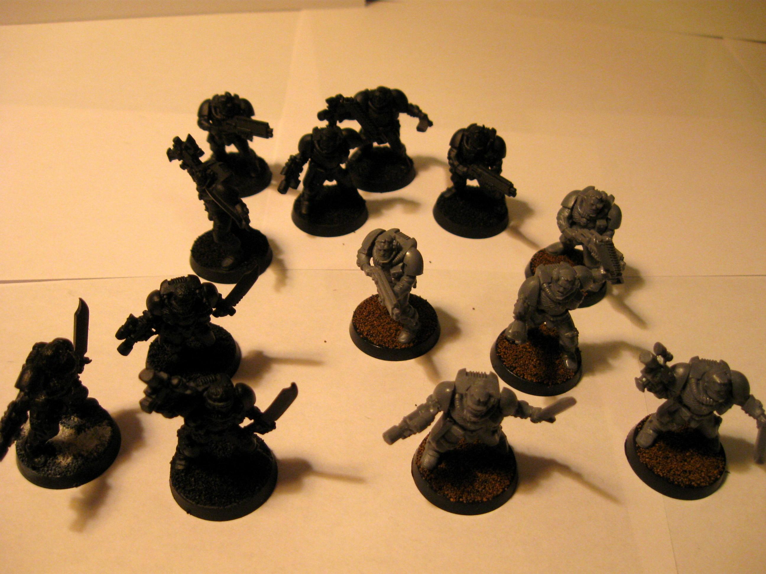 Neophytes