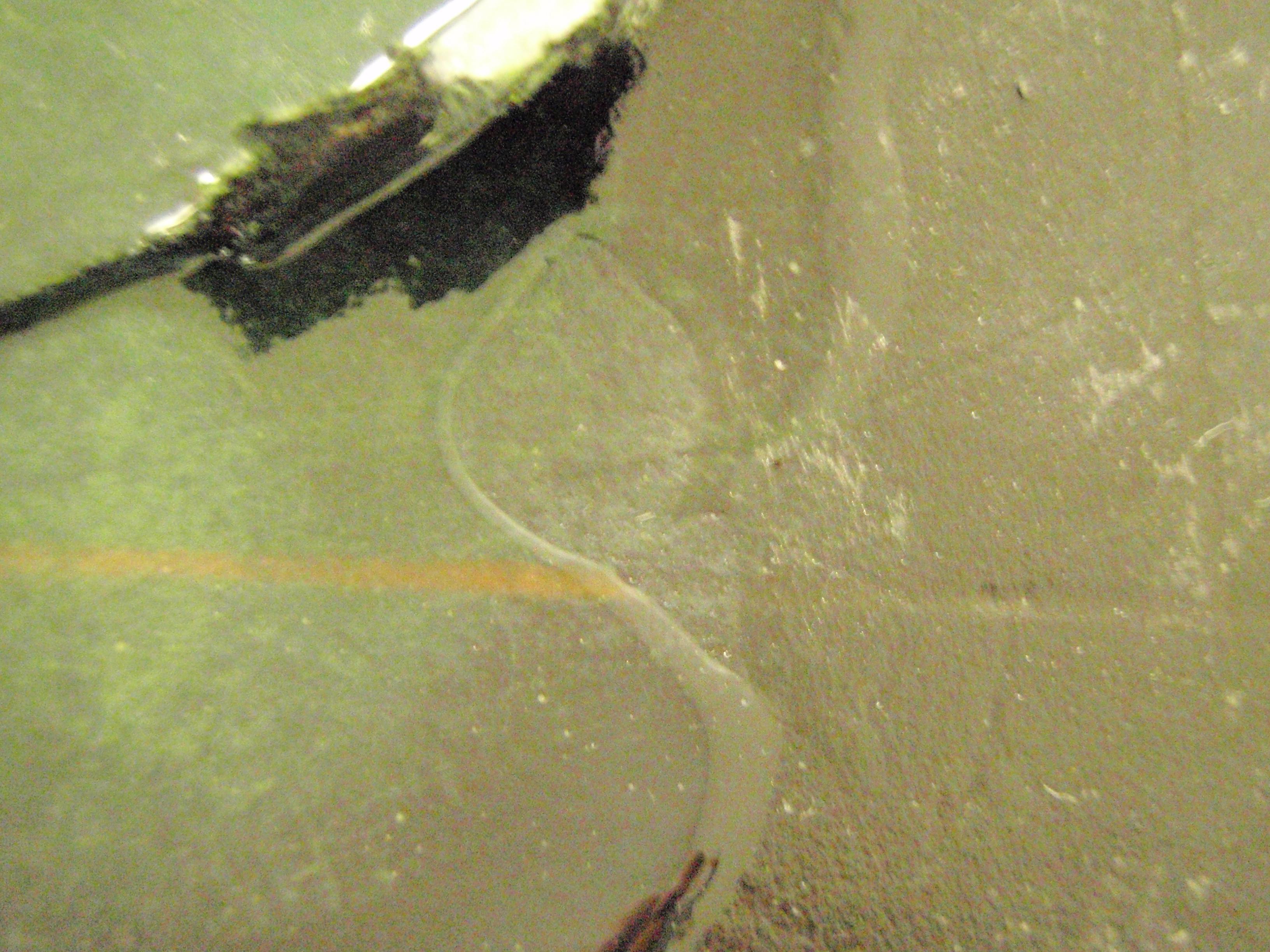 The red line is marker under the primer- never thought I'd see it again