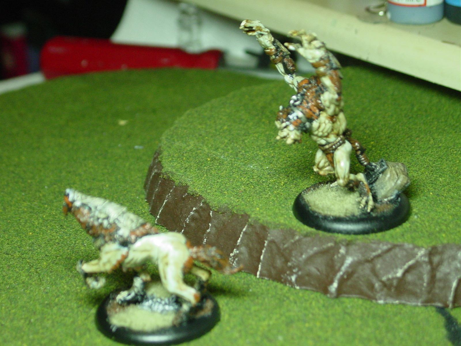 Hordes, Circle Orboros, War Wolf, Gorax