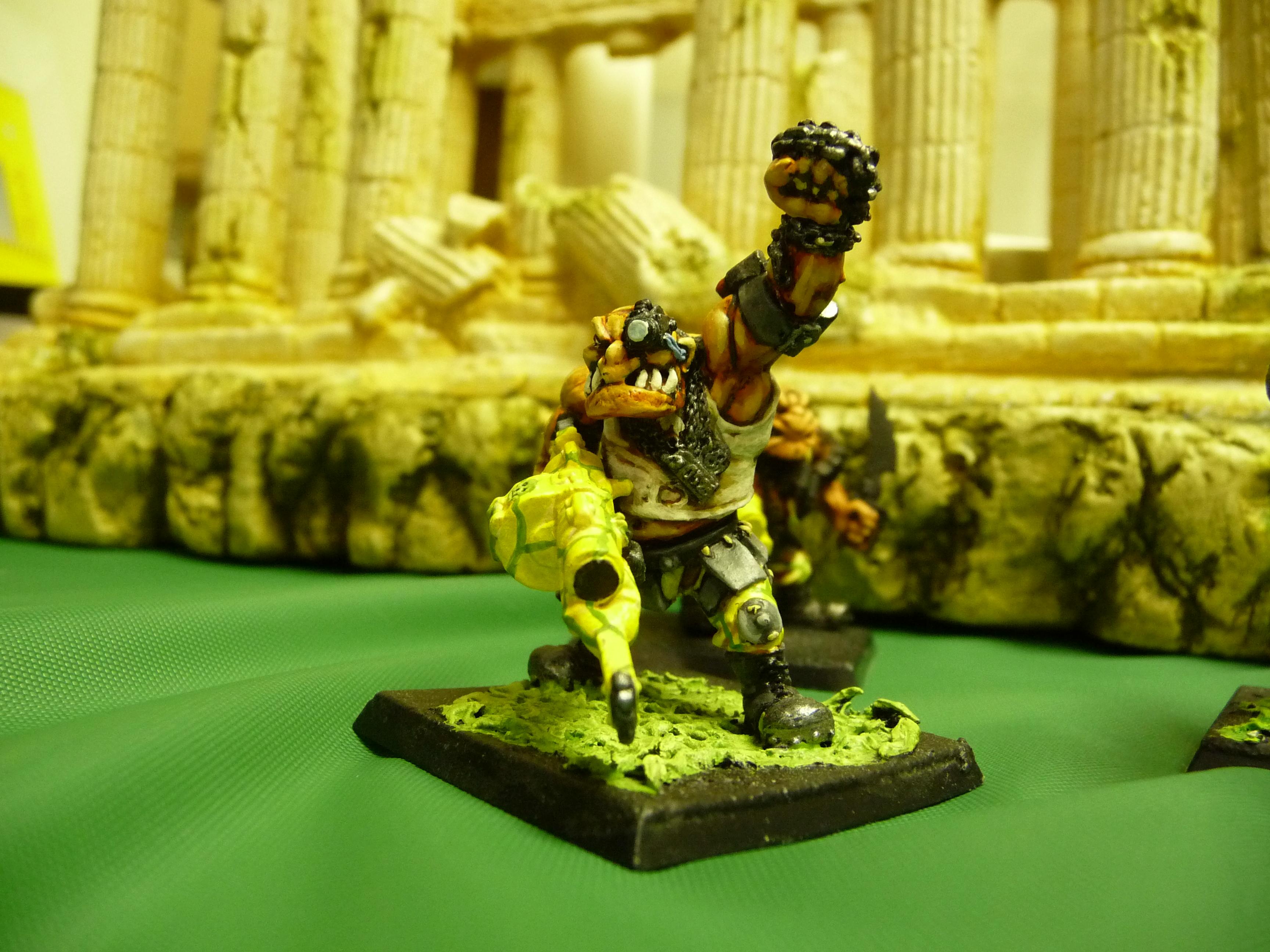 another view of ogryn