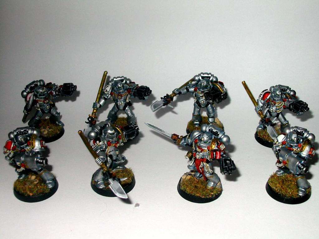 8x Grey Knights w/2 psycannon