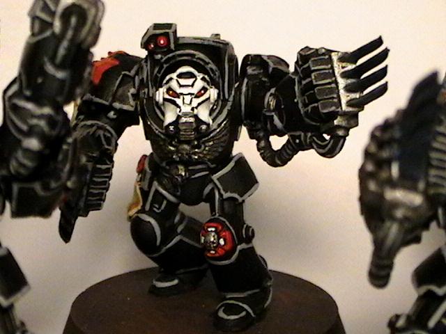Assault, Black Templars, Lightning Claw, Terminator Armor