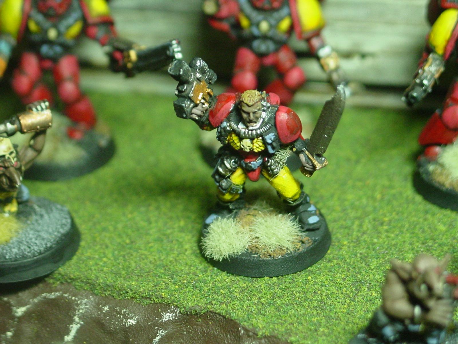 Order of the Sword Sheathed in Stone, Templars, Scouts, Novices