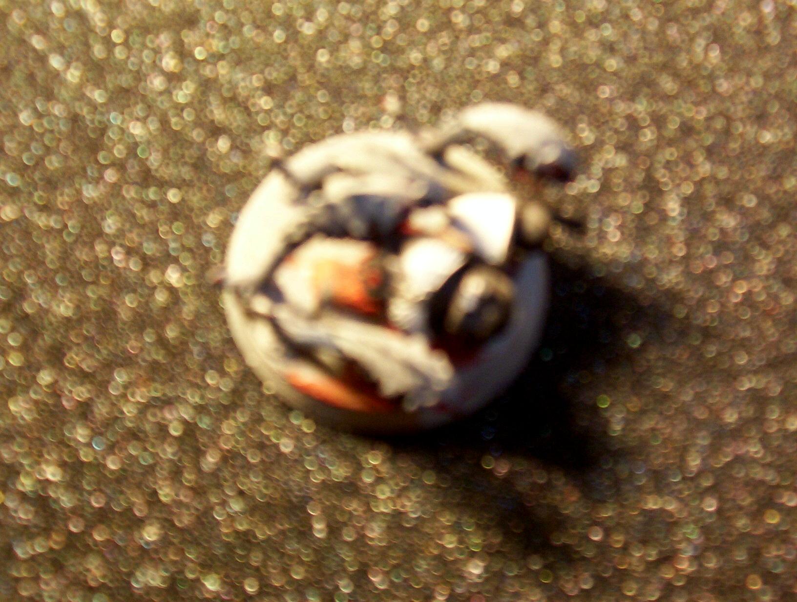 Blurred Photo, Ripper Swarm, Tyranids