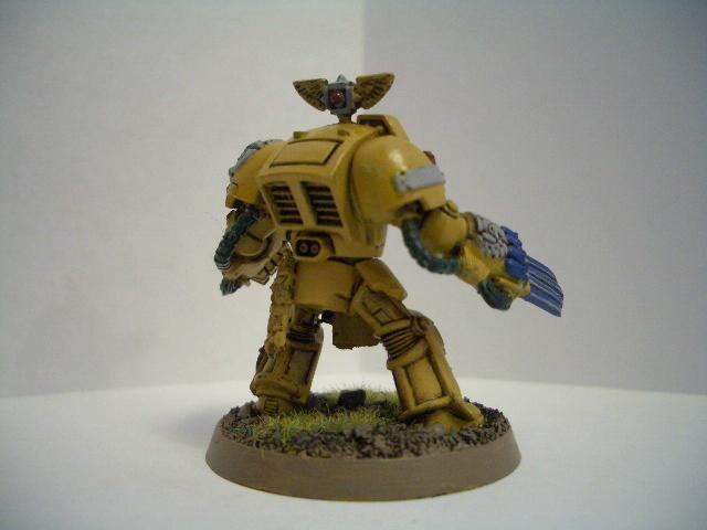 Imperial Fists, Space Marines, Terminator Armor, Warhammer 40,000, Work In Progress, Yellow Space Marines