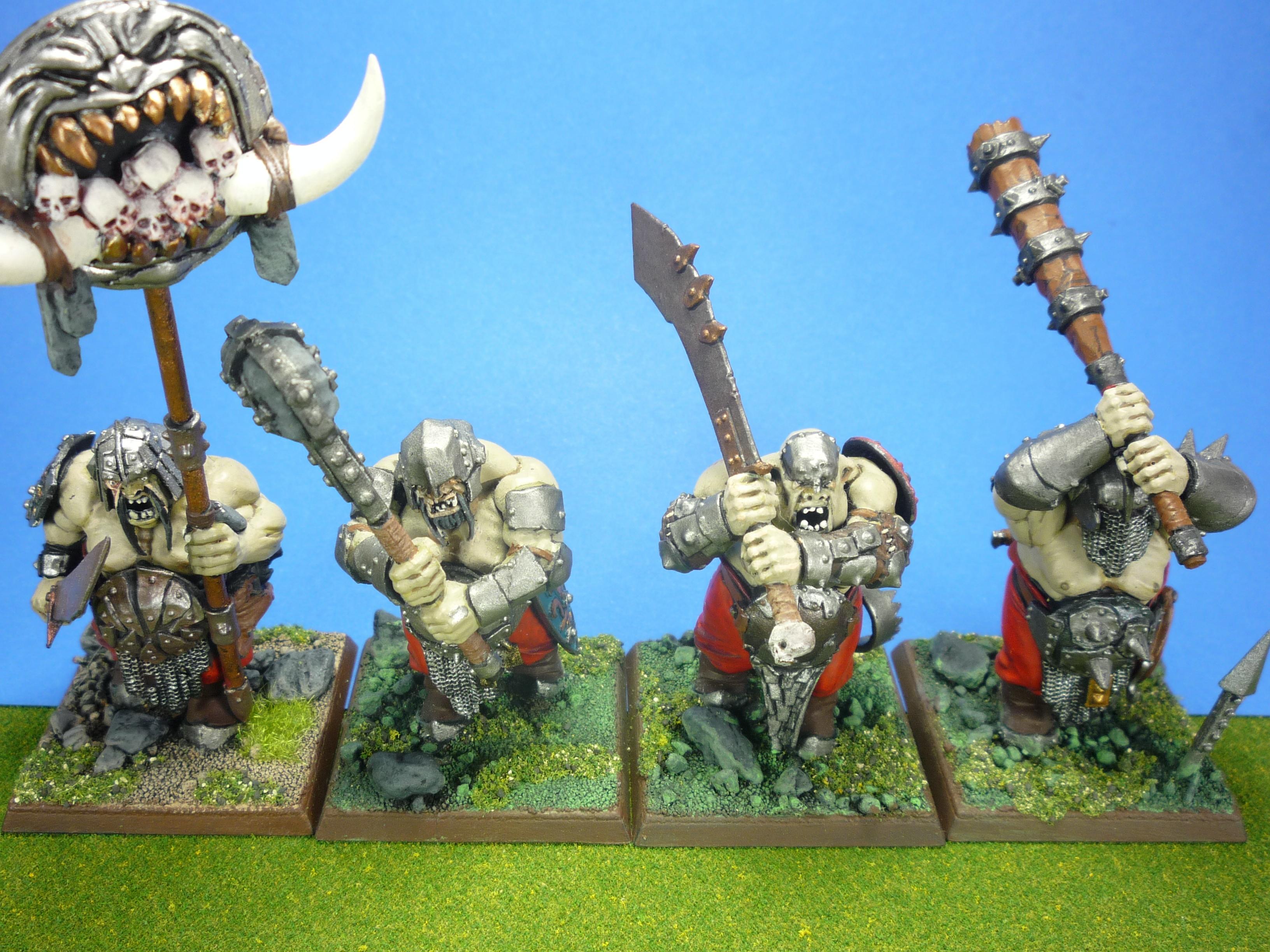 Ironguts, Kingdoms, Ogres