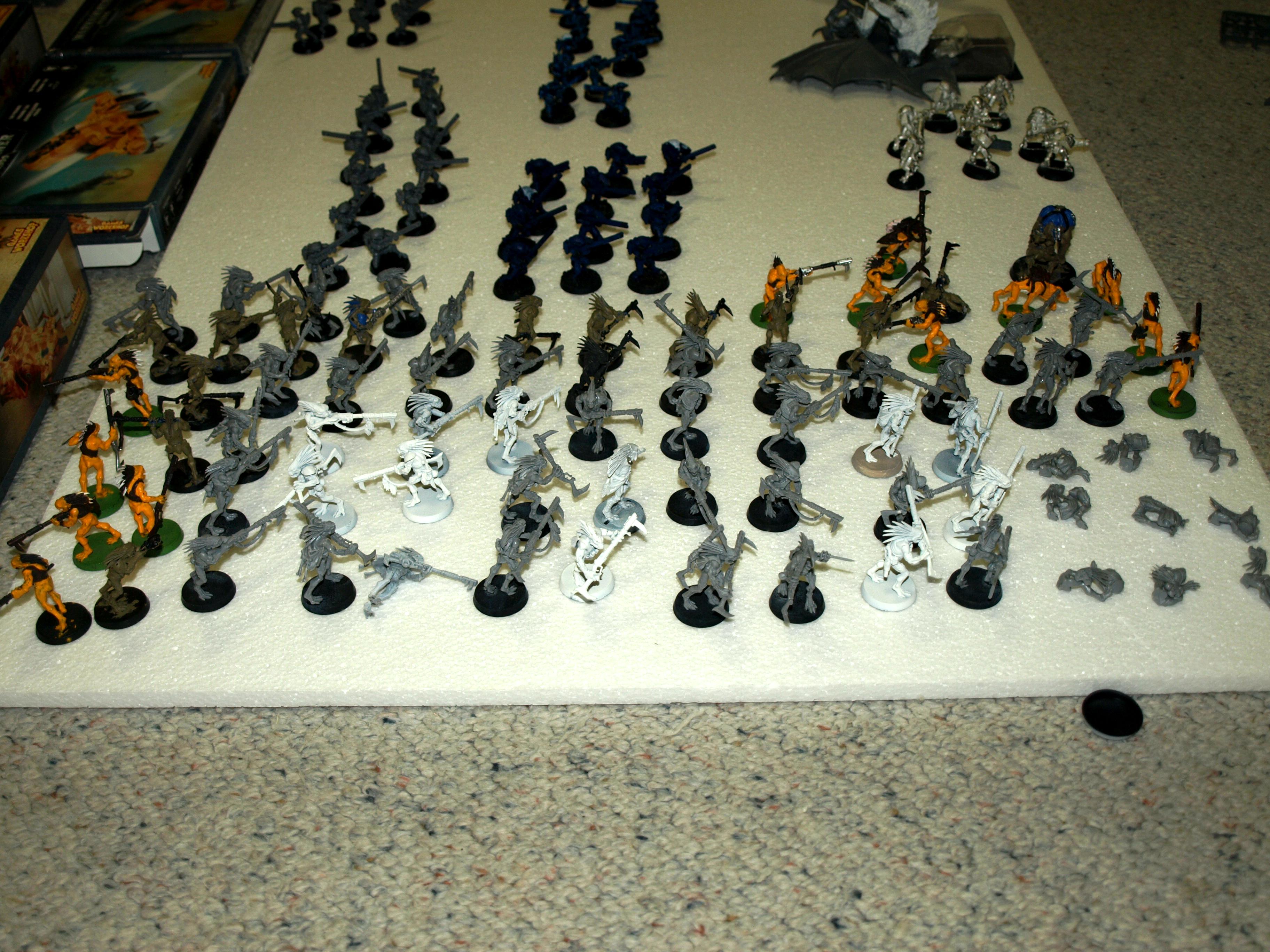 Trasvi's Kroot