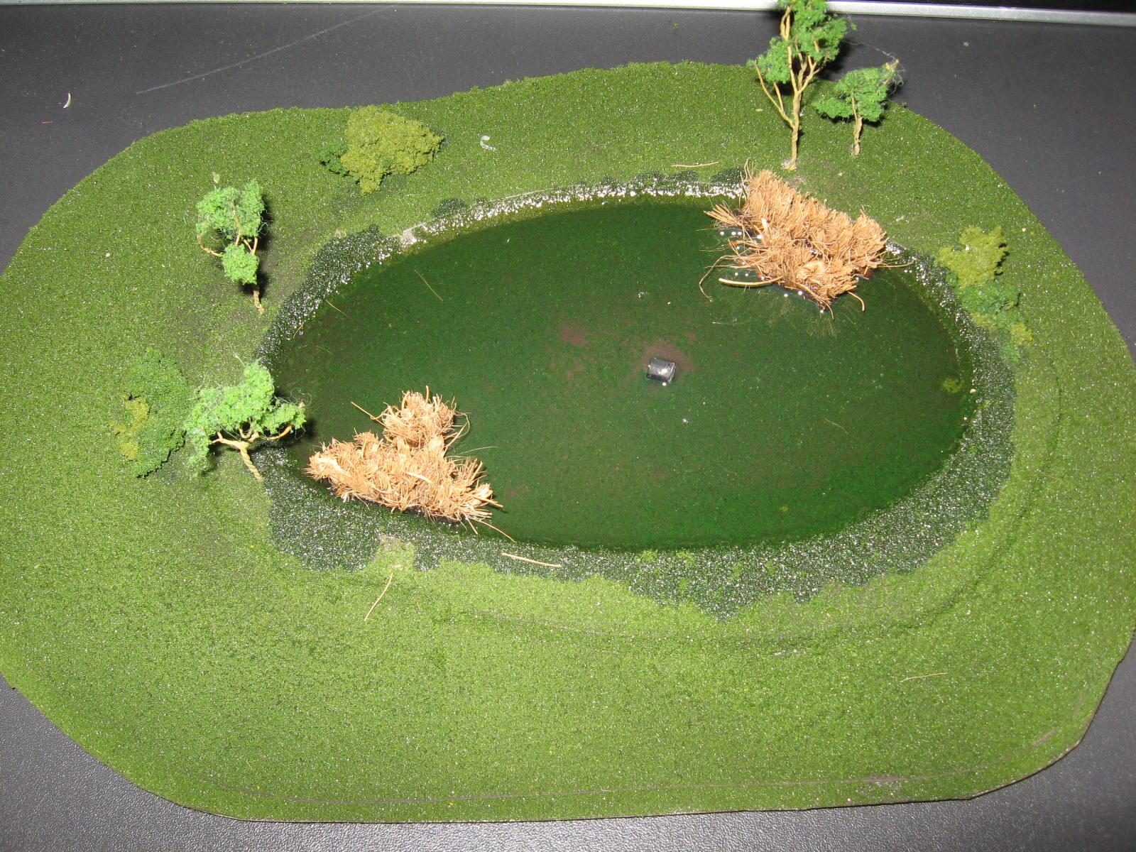 Swamp 2