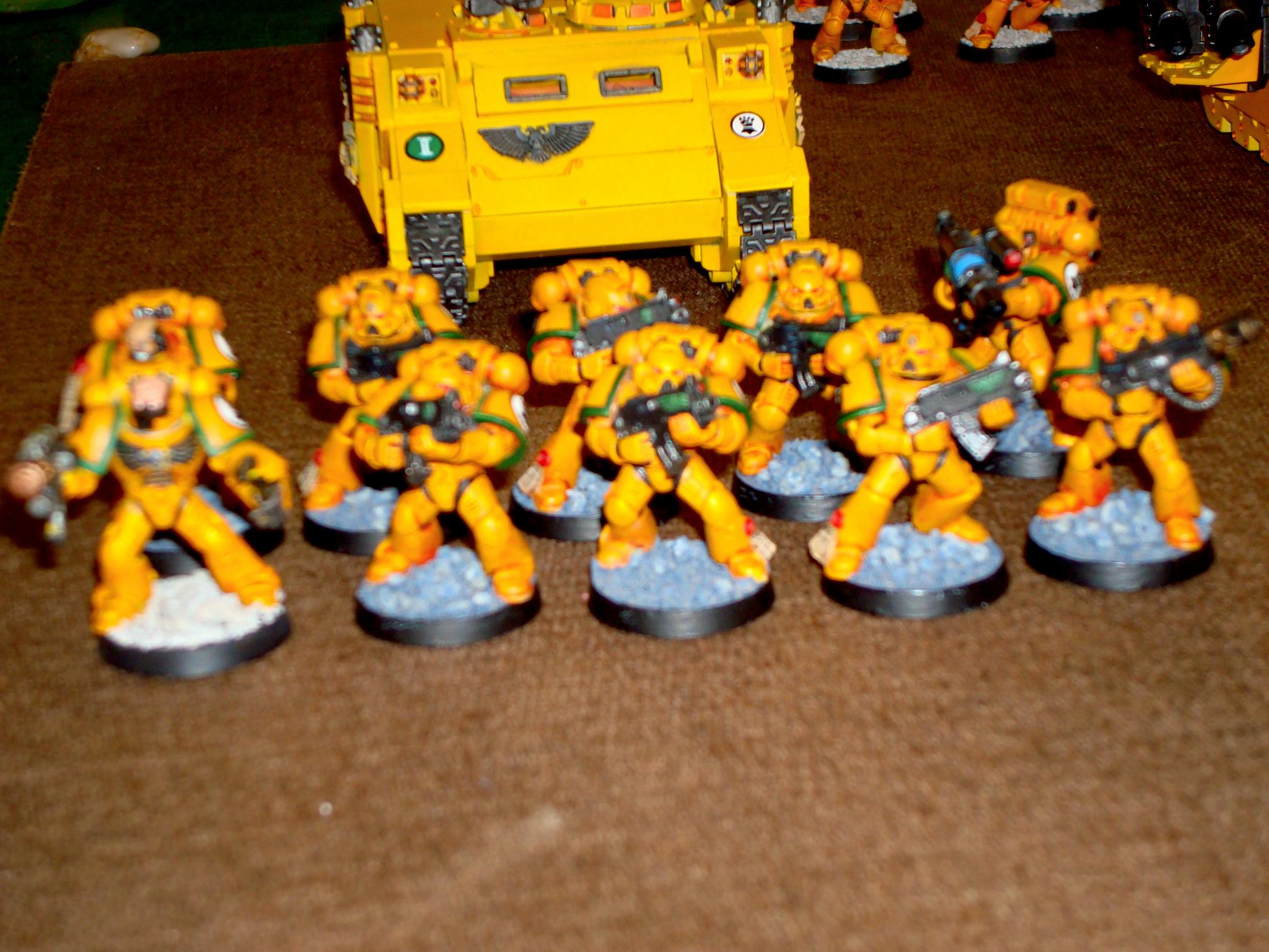 Imperial Fists, Space Marines, Tactical Squad