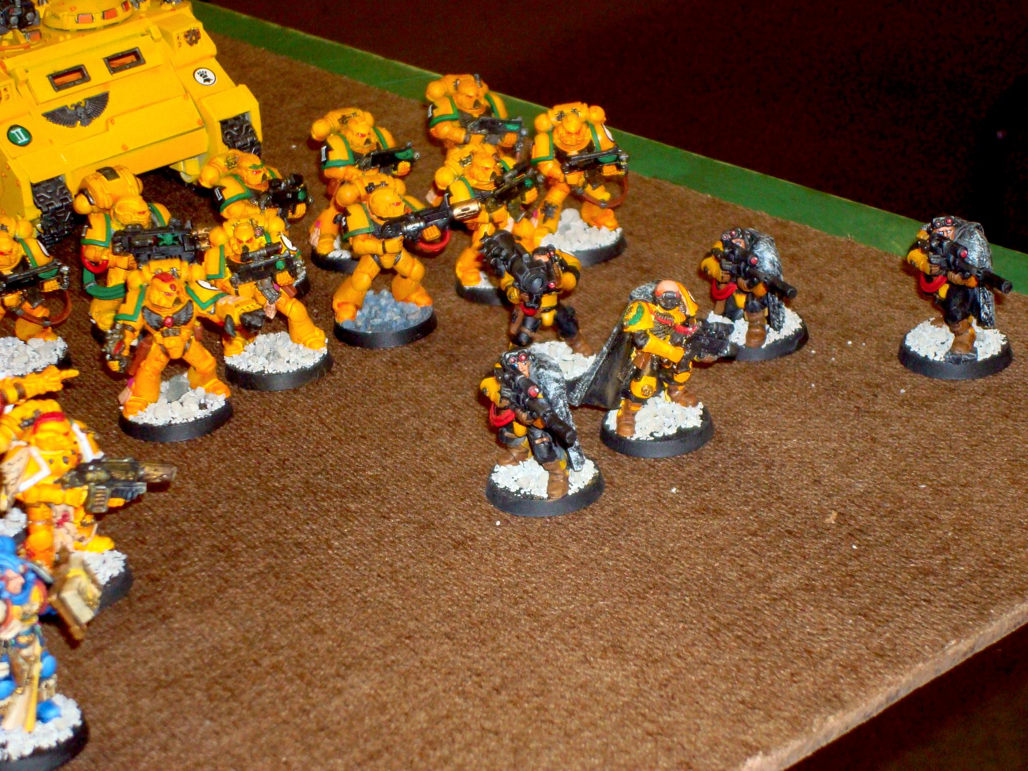 Imperial Fists, Space Marines