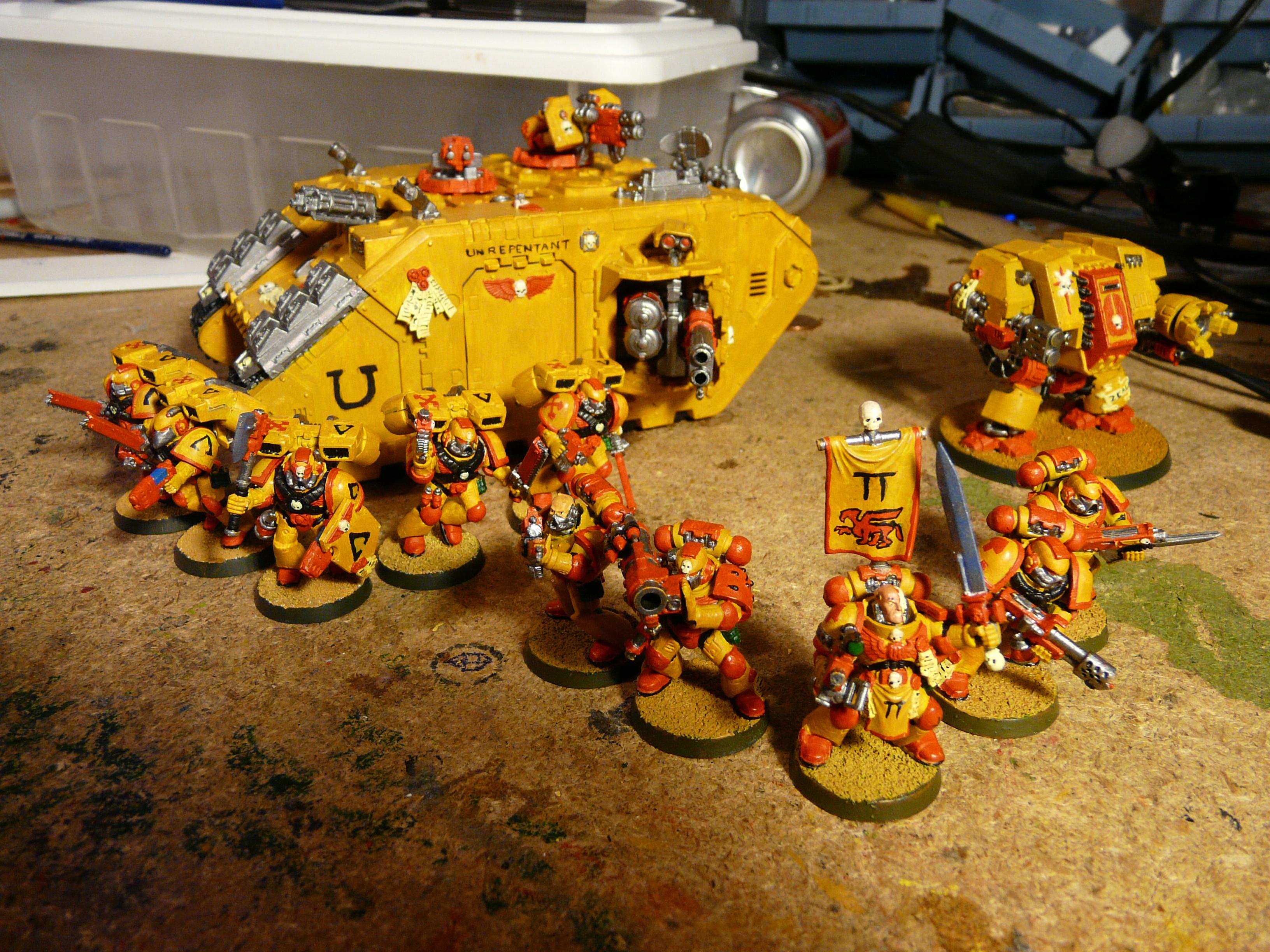 Painted Paladins 