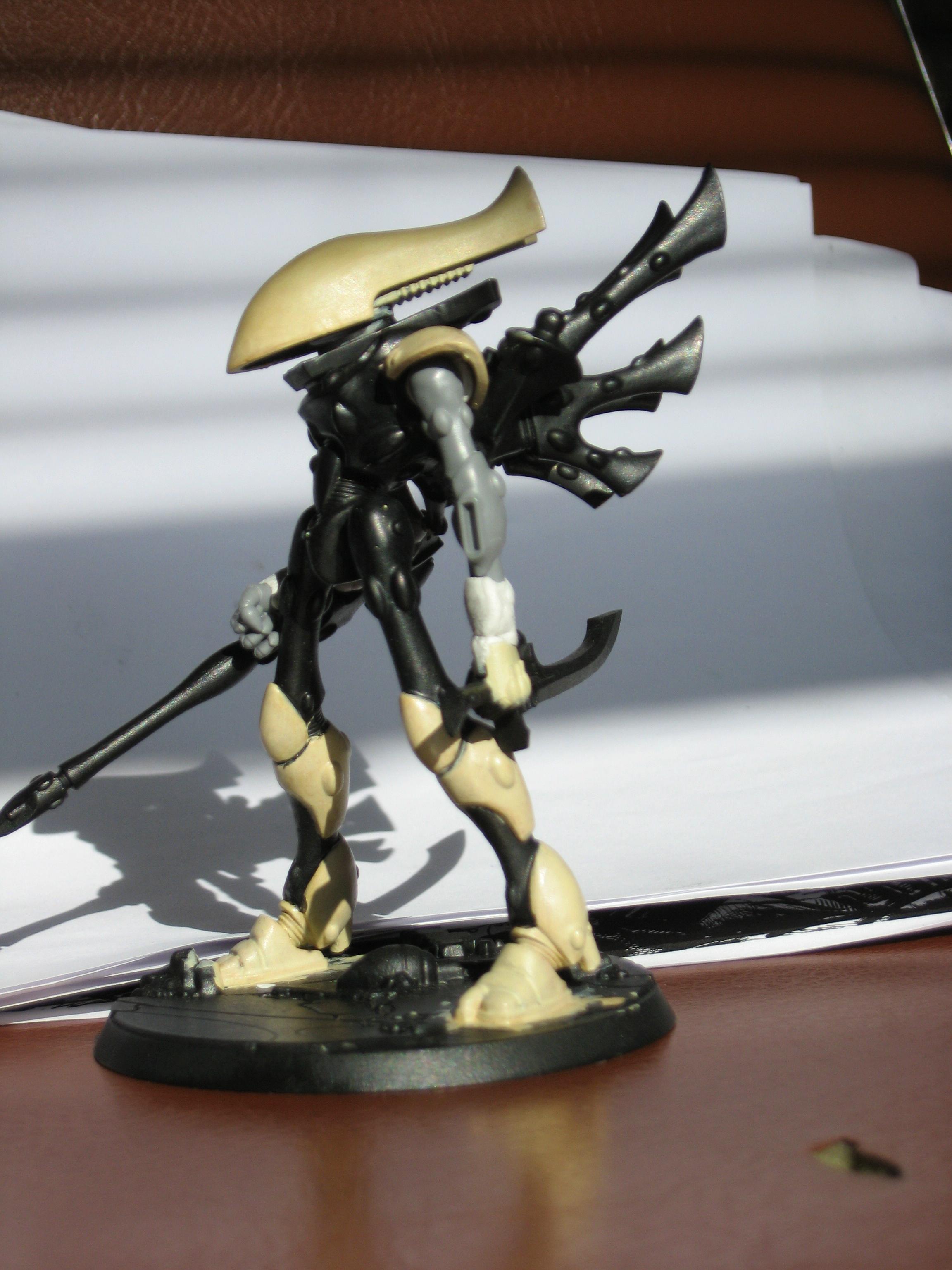 Eldar, Warhammer 40,000