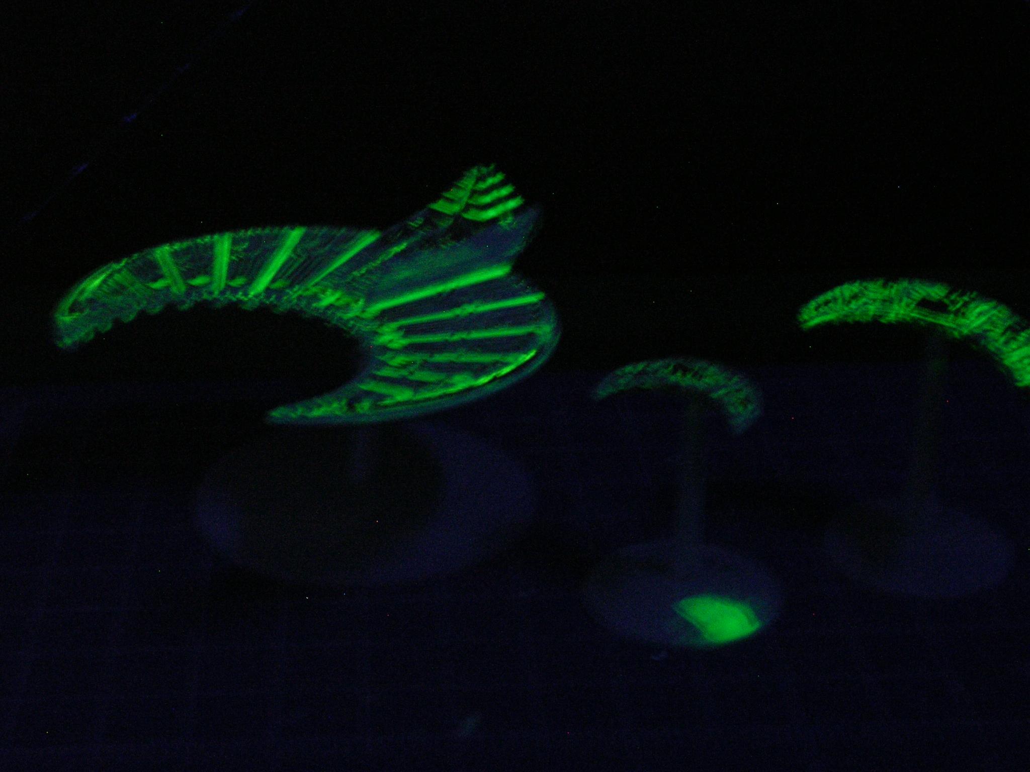 Battlefleet Gothic, Glow In The Dark, Necrons