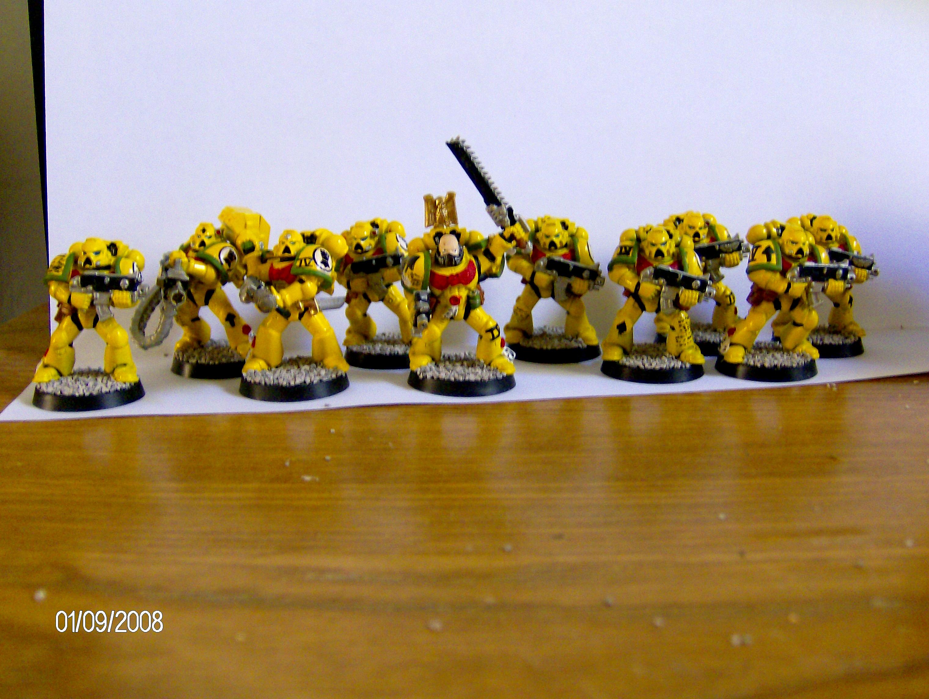 Imperial Fists, Space Marines