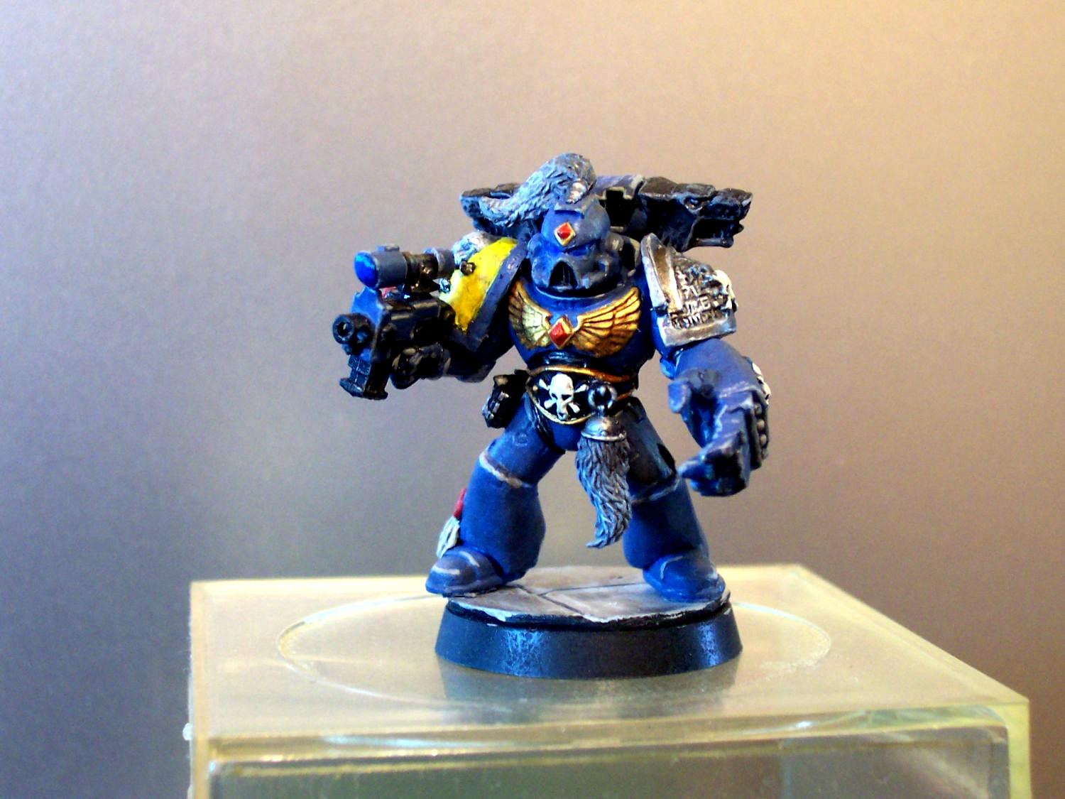 Death Watch, Space Marines, Space Wolves