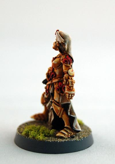Acolytes, Hospitiler, Inquisitor, Retinue