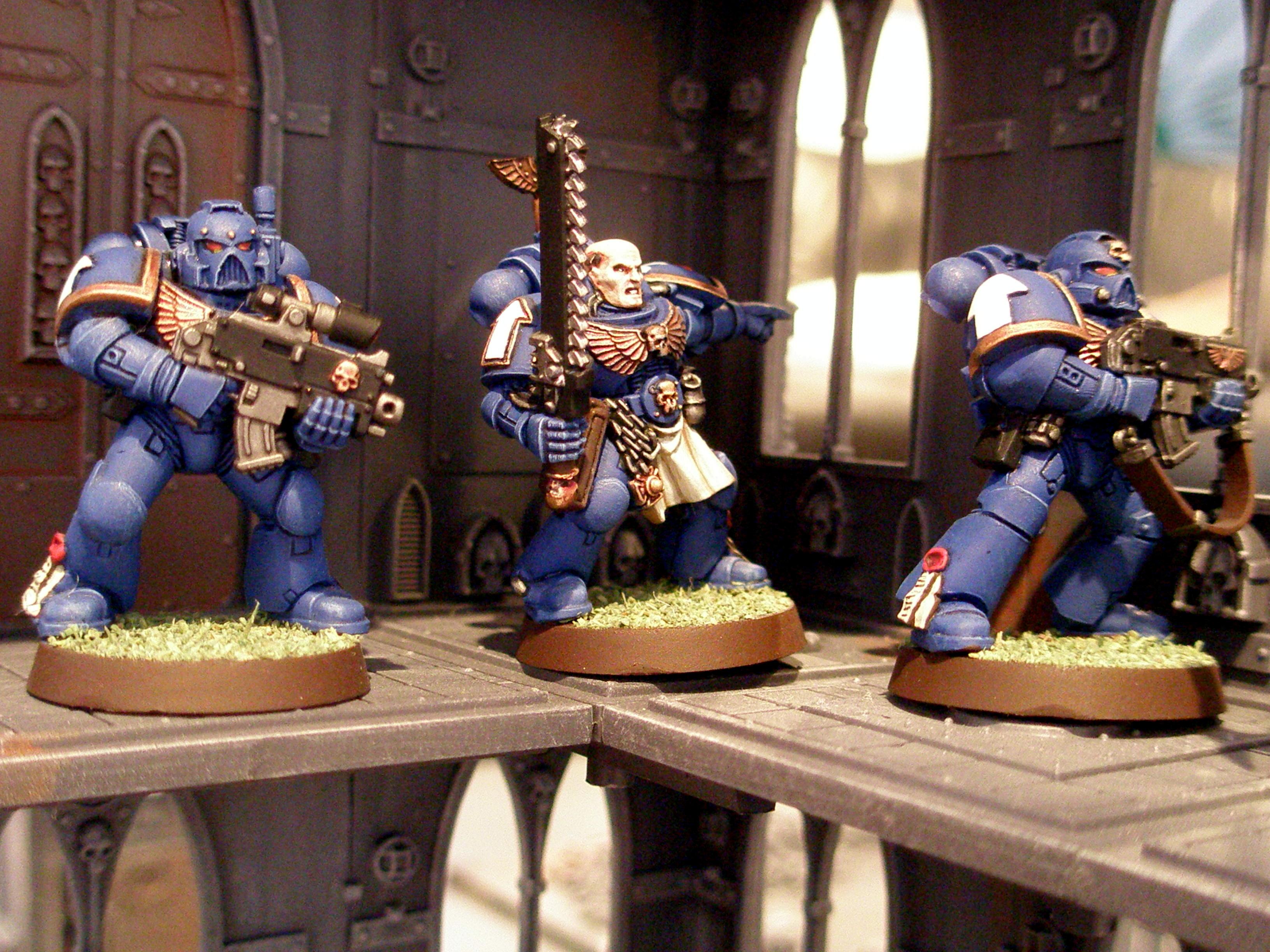 Tac squad takes position